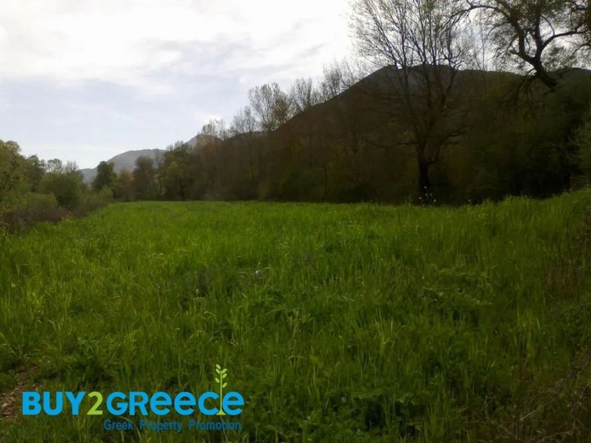 Land in Desino, Dytiki Ellada 11254092