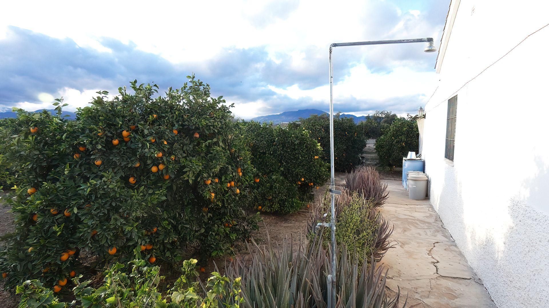 loger dans Alhaurín el Grande, Andalucía 11254323