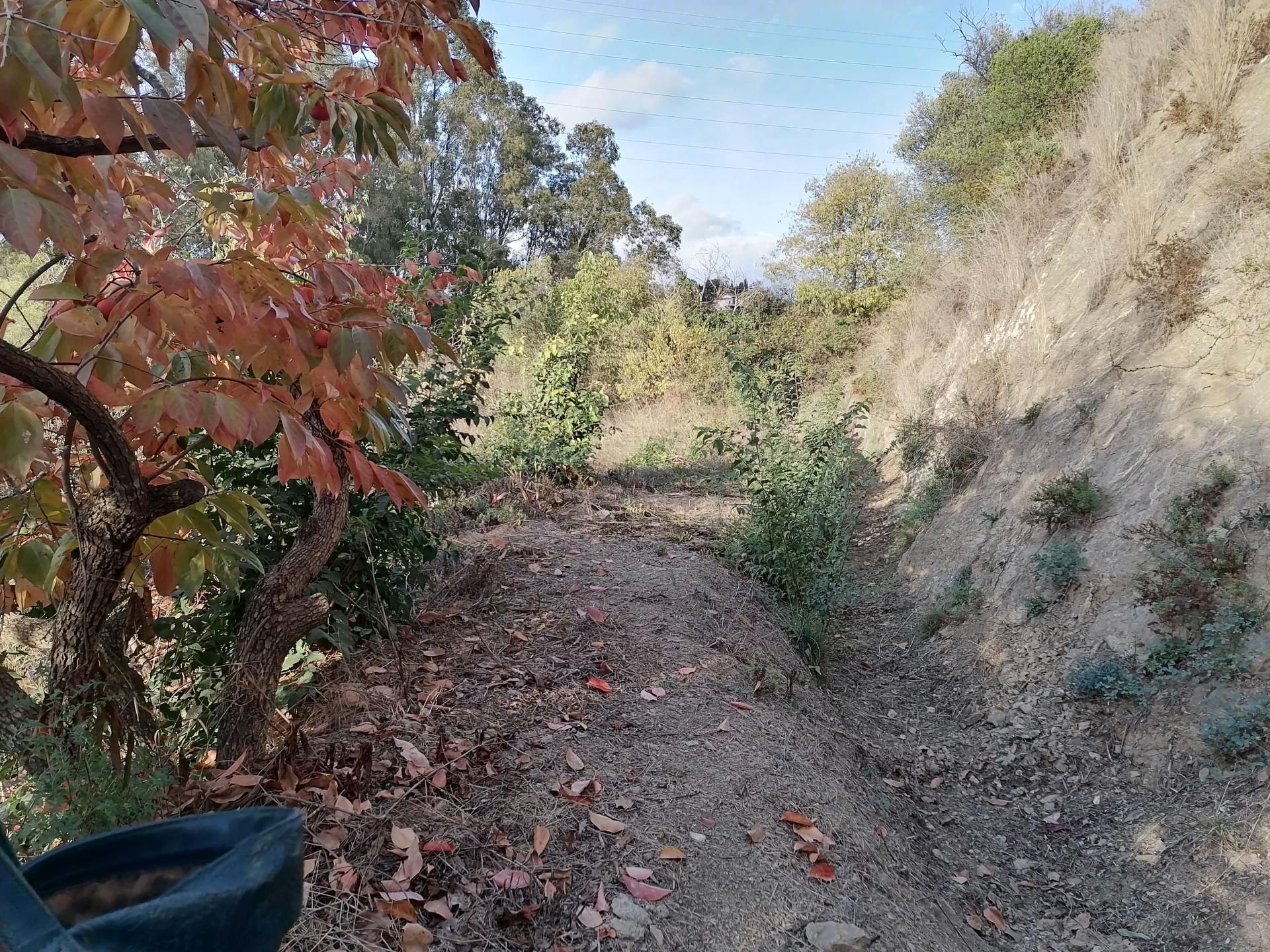 Land in Alhaurín el Grande, Andalucía 11254353