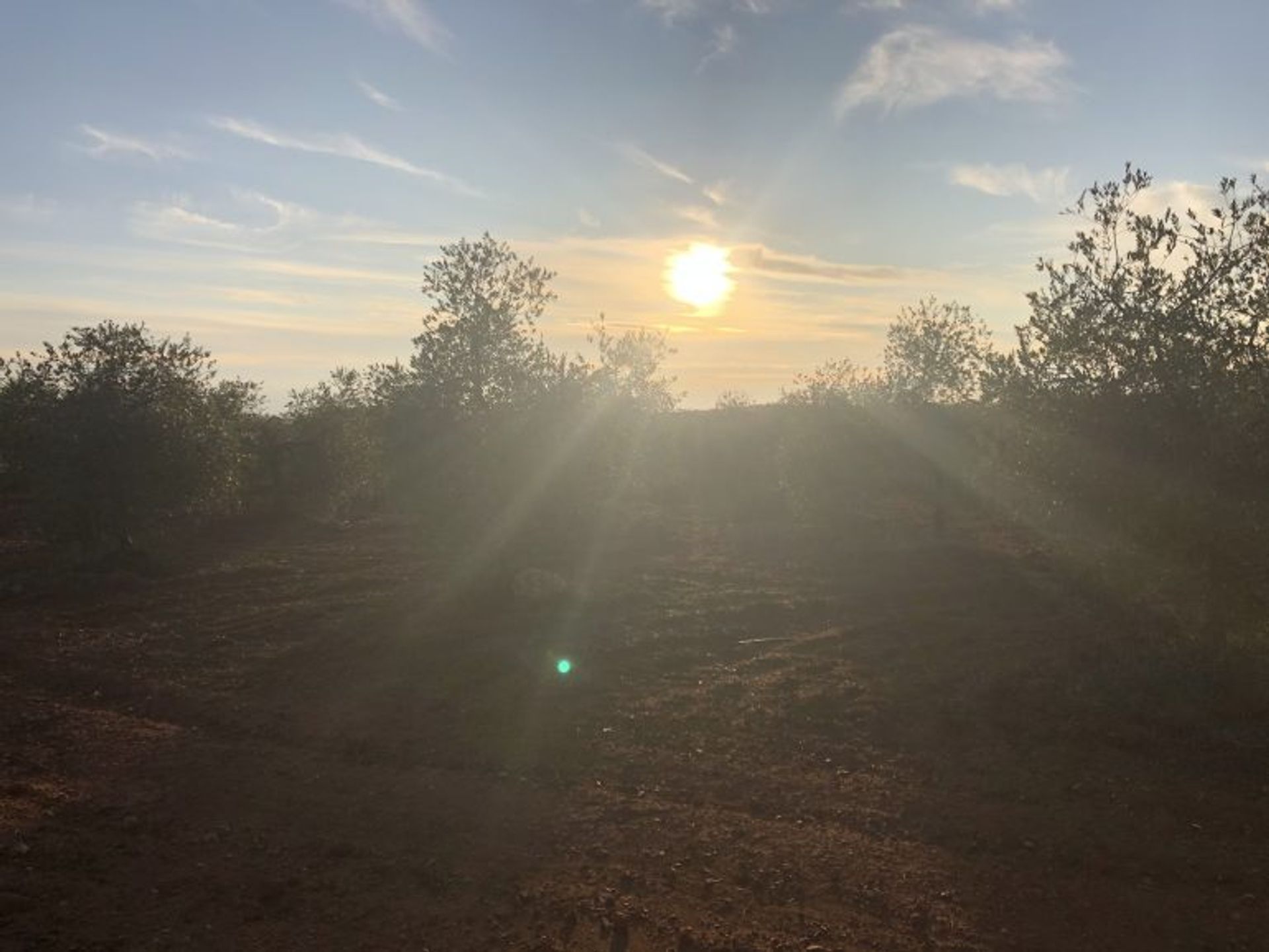 loger dans Tomares, Andalucía 11255917