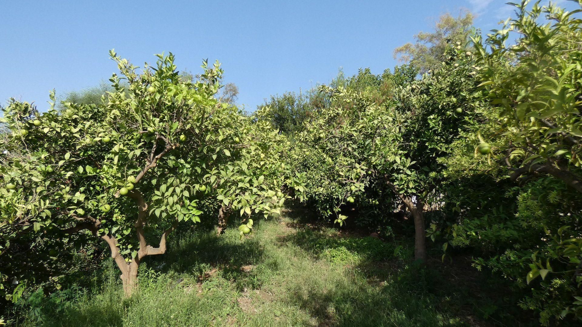 loger dans Pizarra, Andalucía 11255984