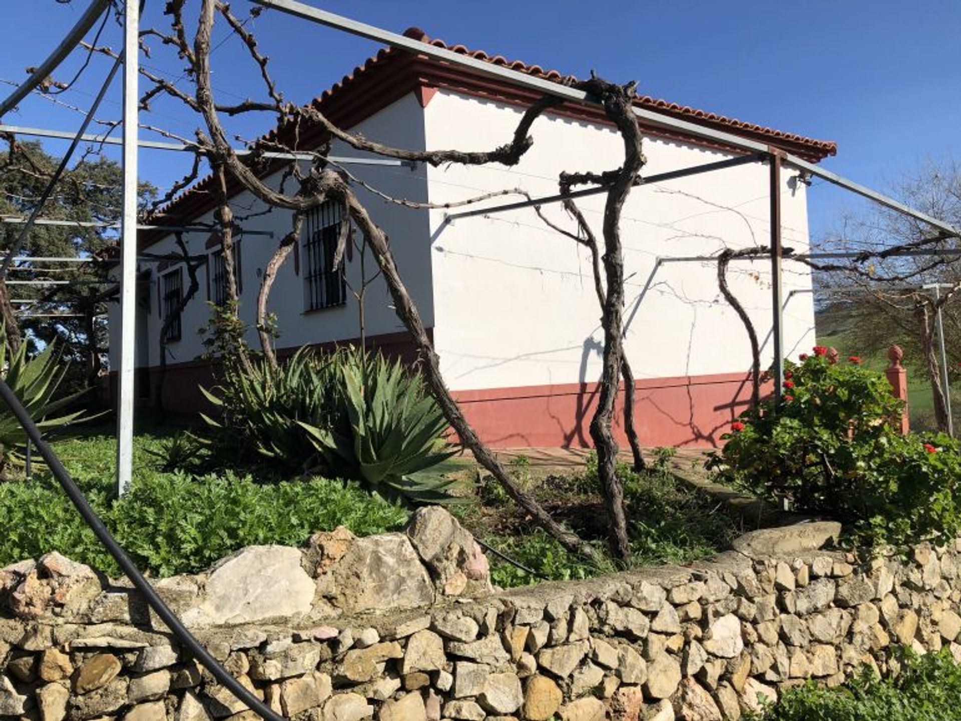 casa en olvera, Andalucía 11256689