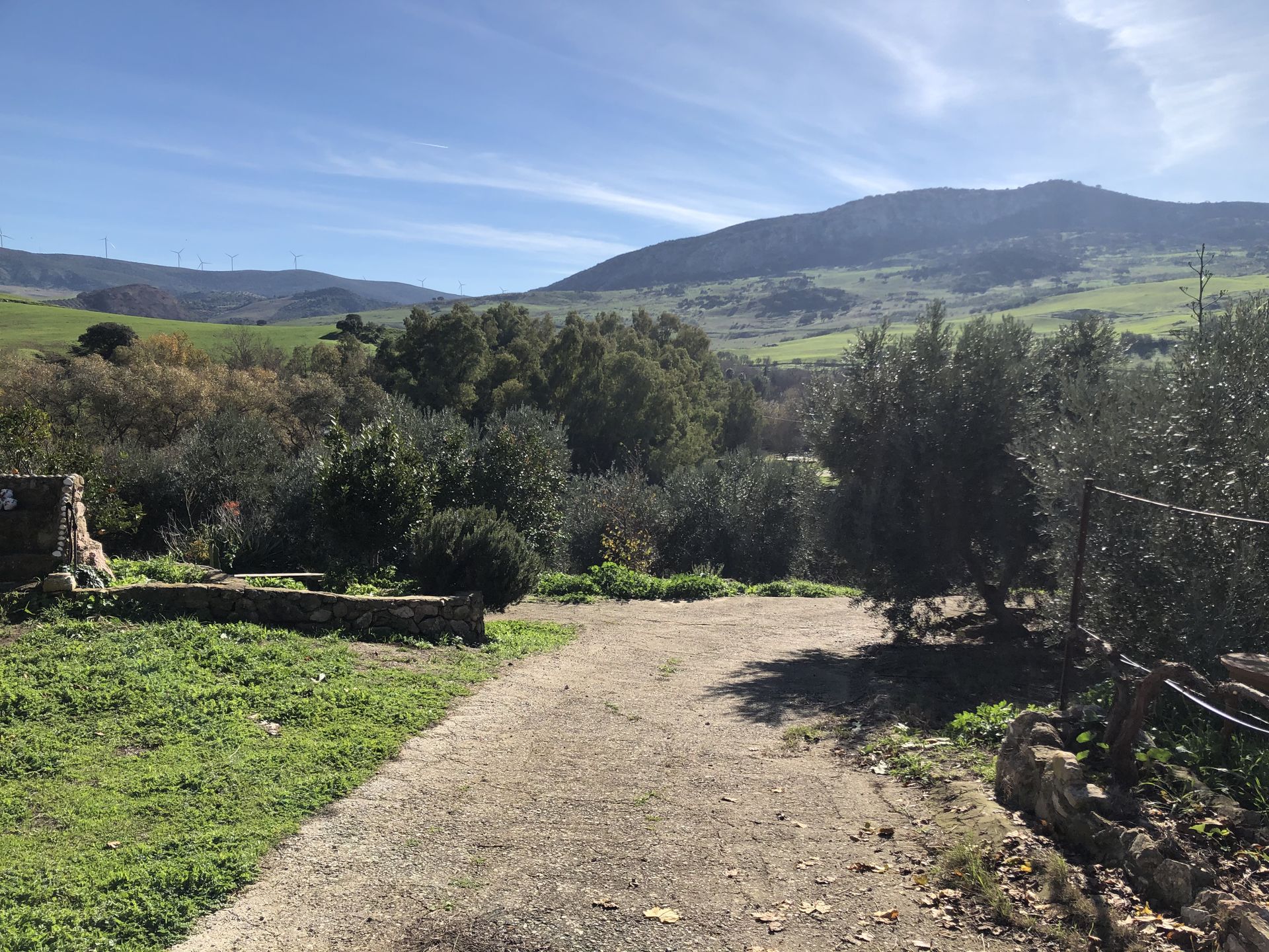 House in Olvera, Andalucía 11256689