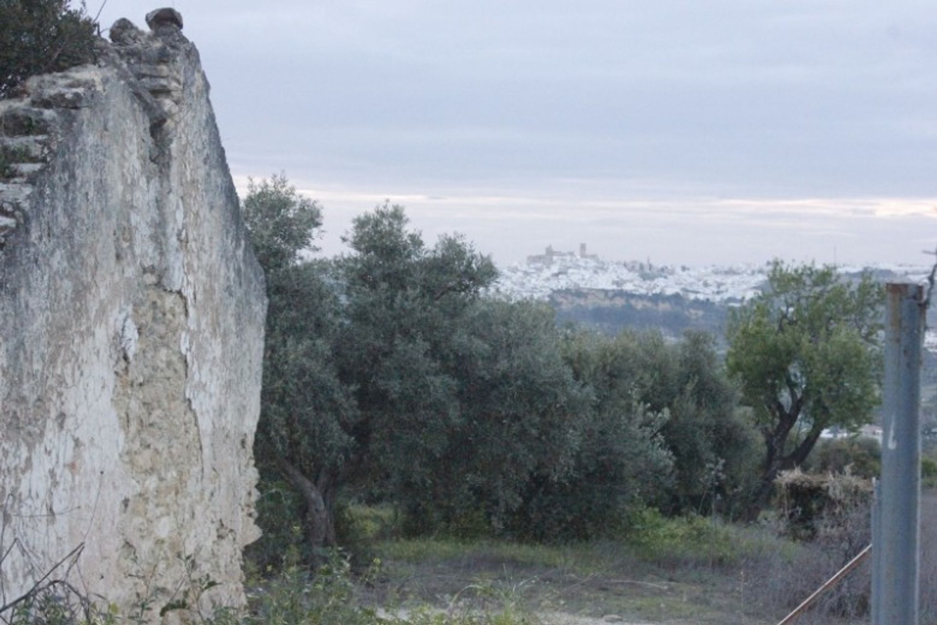 Land in Arcos de la Frontera, Andalusia 11256865