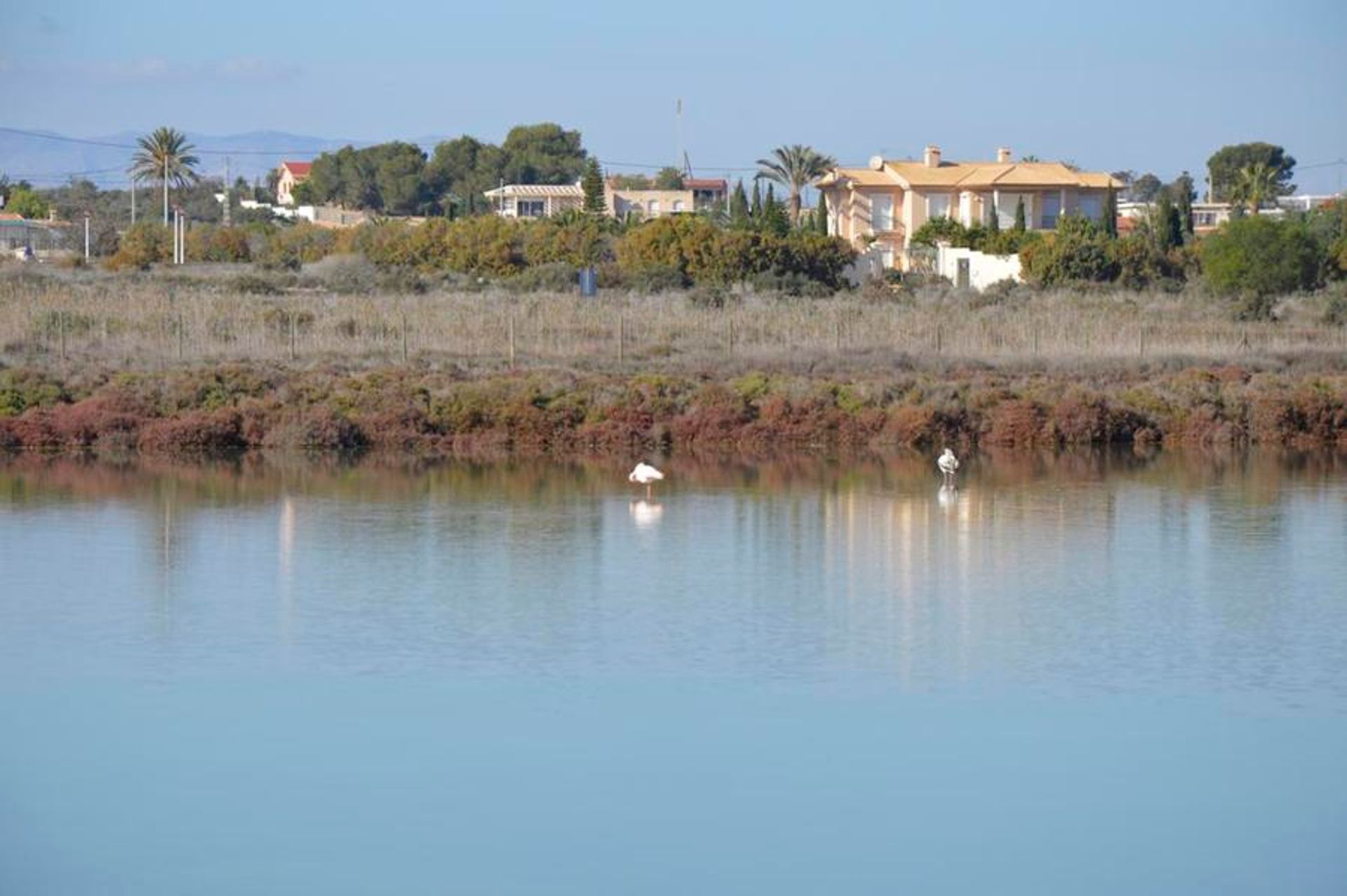 Tanah di San Fulgencio, Comunidad Valenciana 11257381