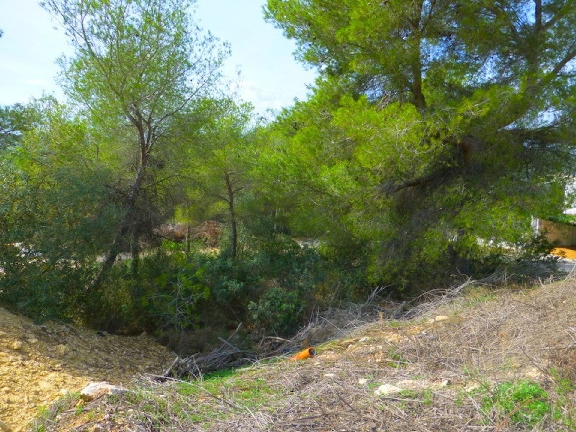 Land in Javea, Valencia 11257689