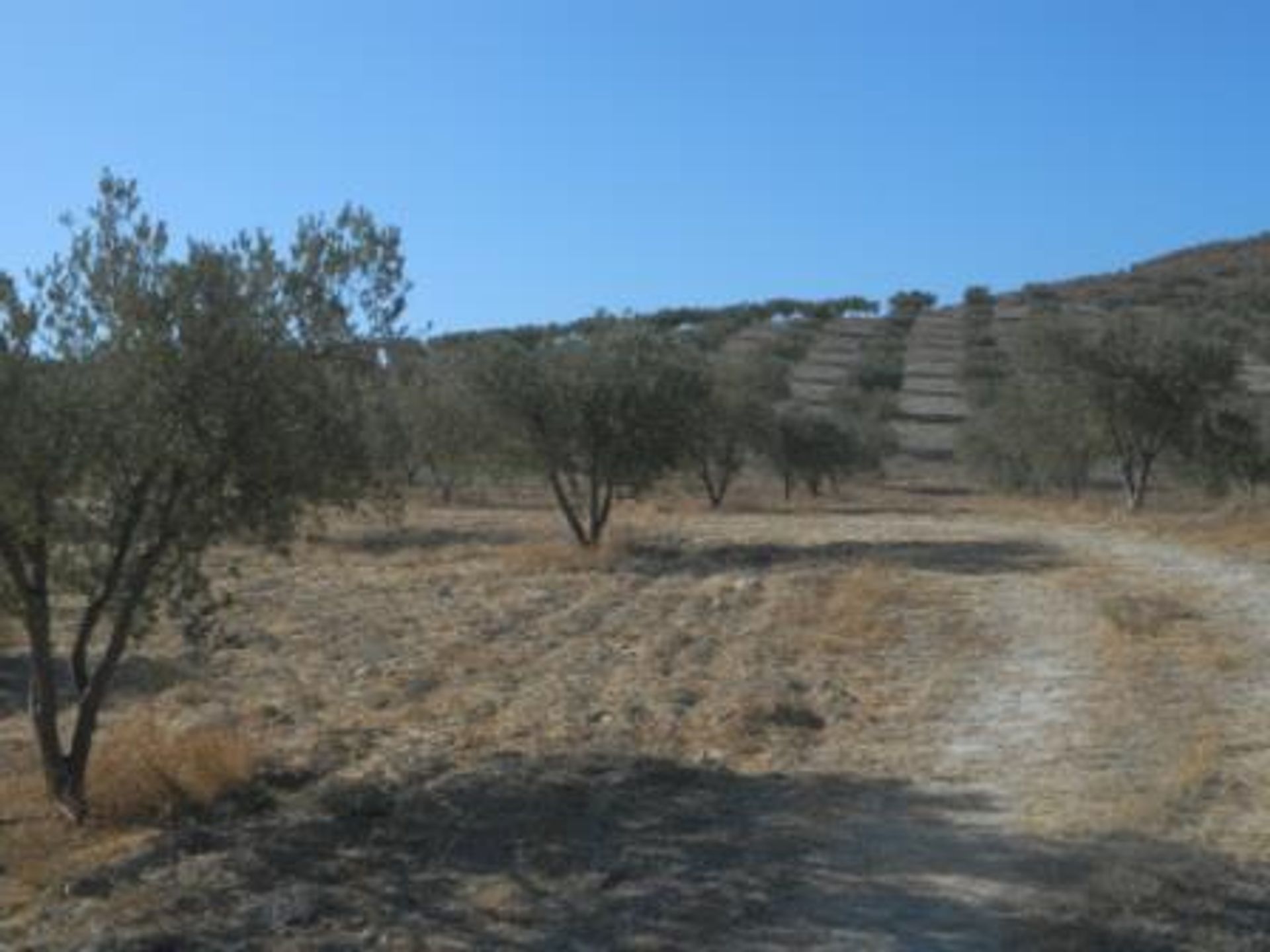 Maa sisään Sorbas, Andalusia 11257728