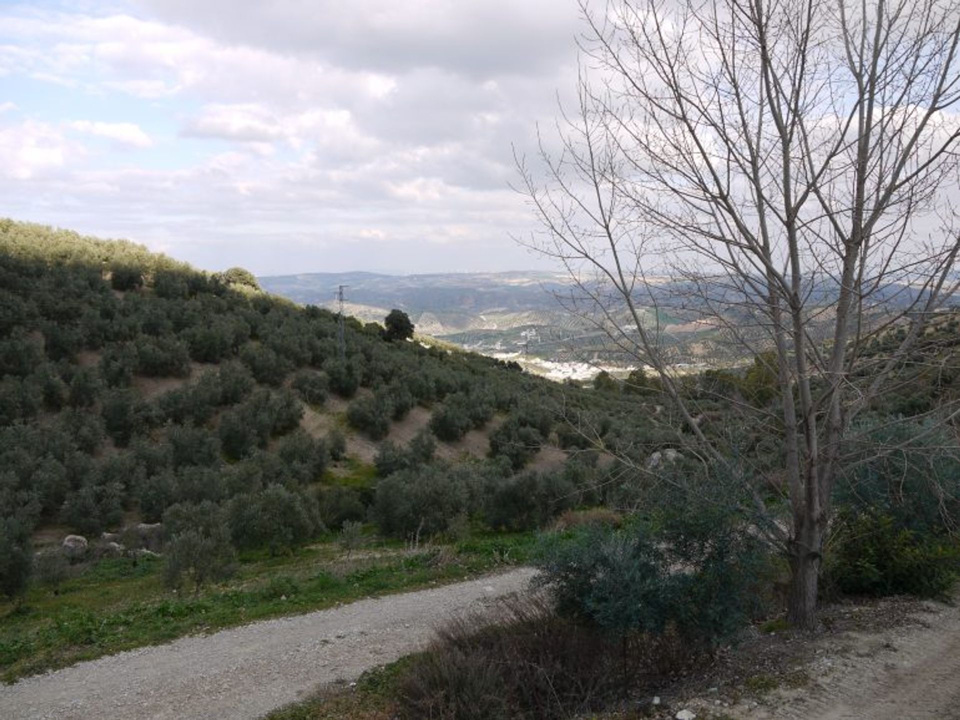 loger dans Algámitas, Andalucía 11258045