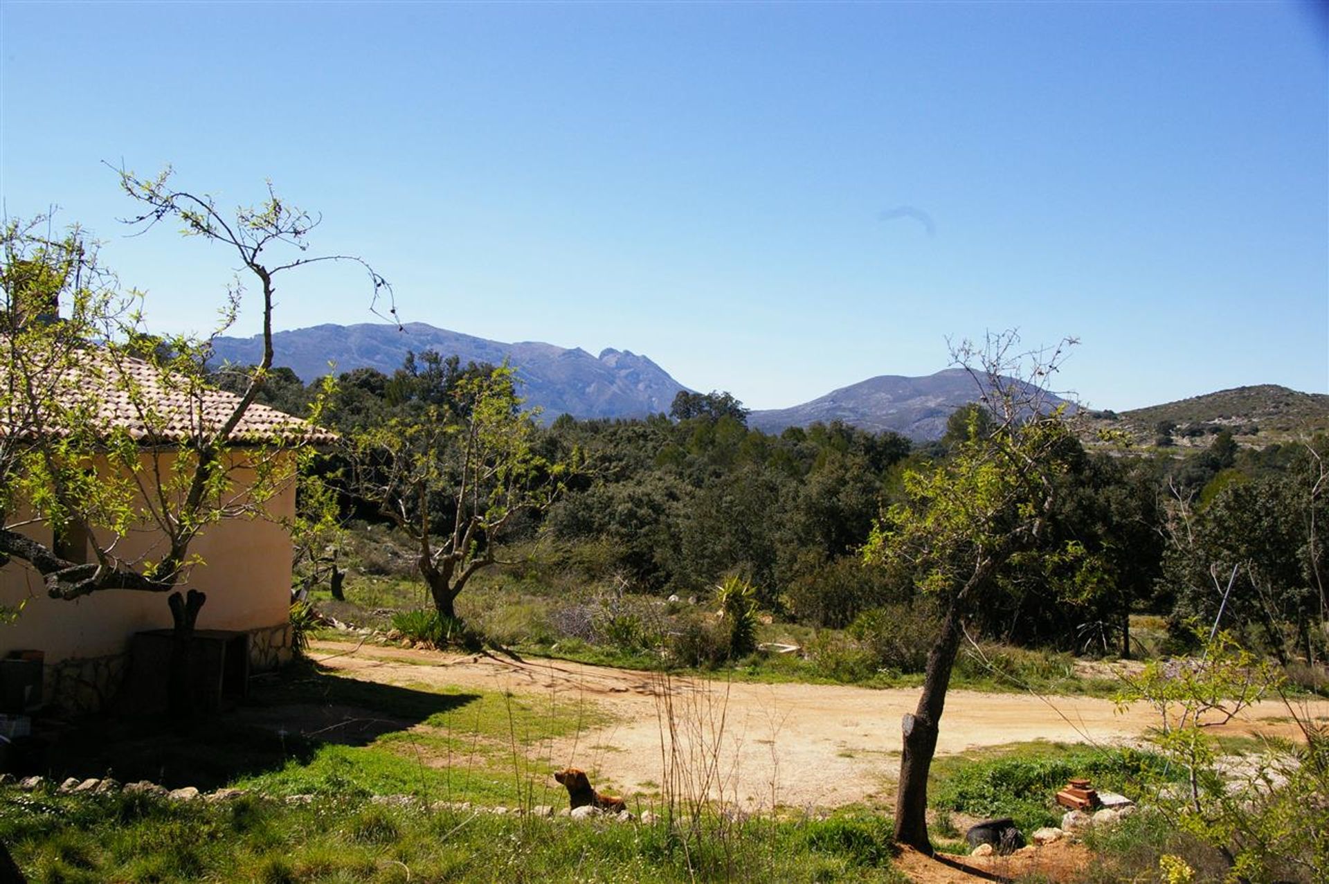 casa en Castell de Castells, Comunidad Valenciana 11258431