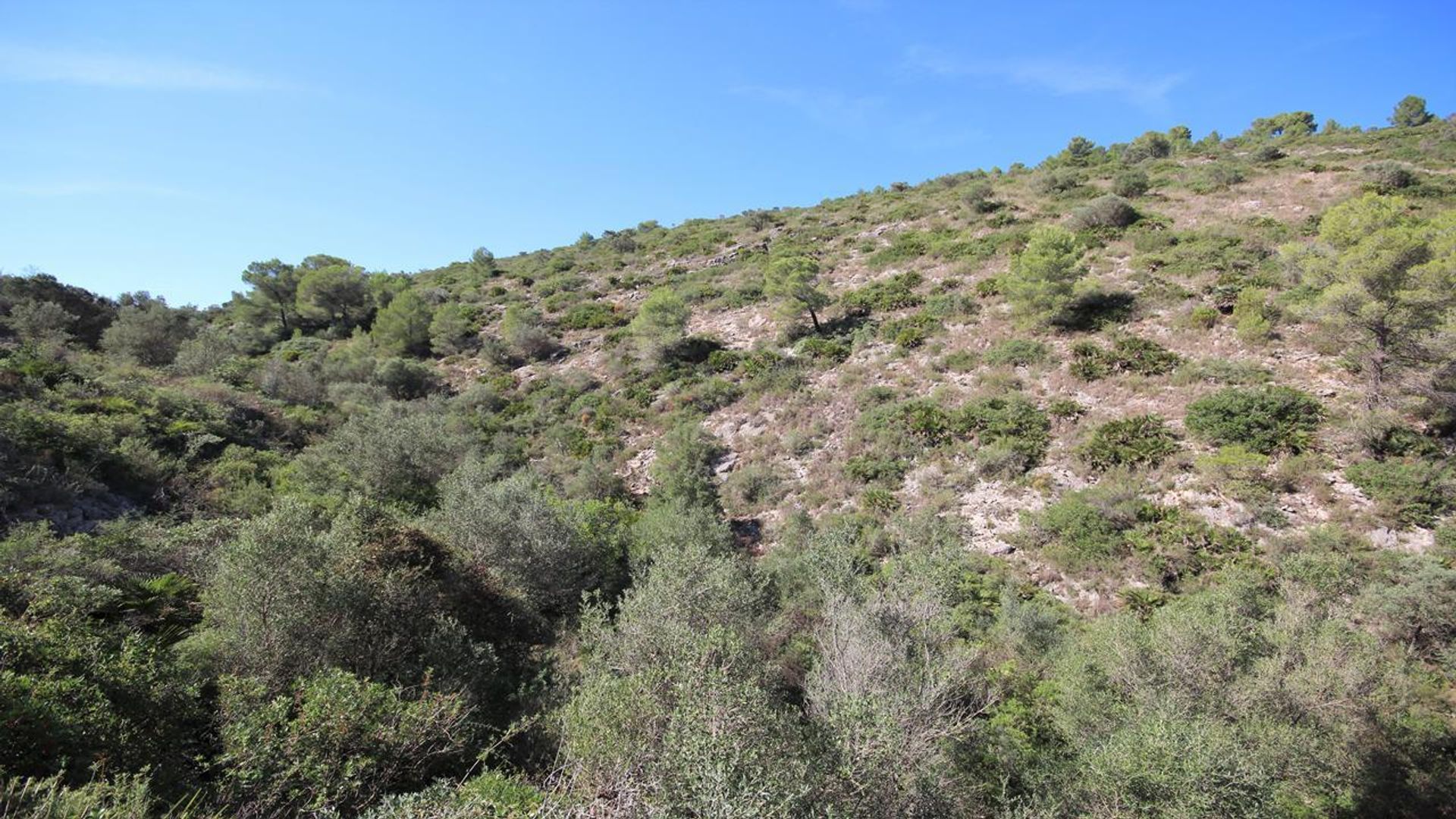 casa en Alcalalí, Comunidad Valenciana 11258536