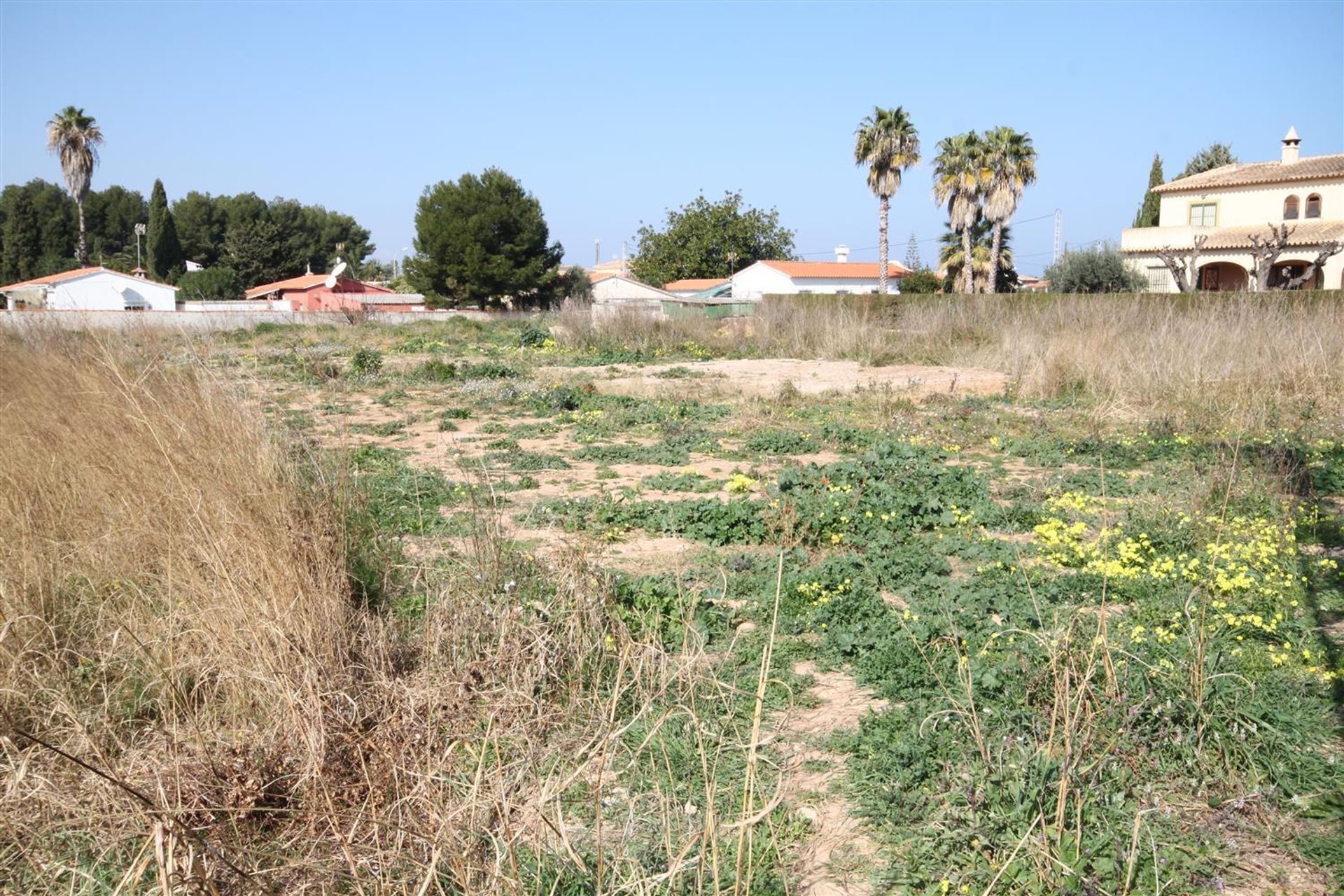 Land in Vergel, Valencia 11259446