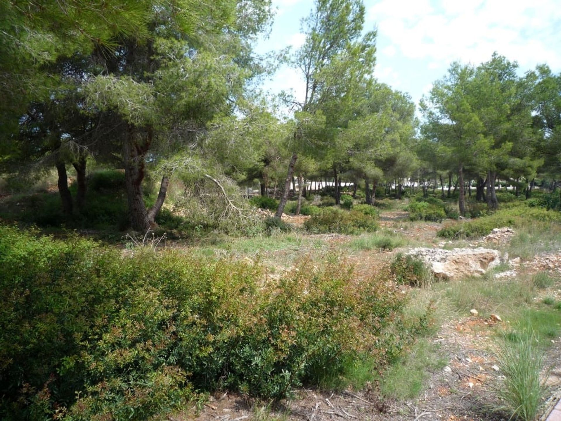 Tierra en Jávea, Comunidad Valenciana 11259781