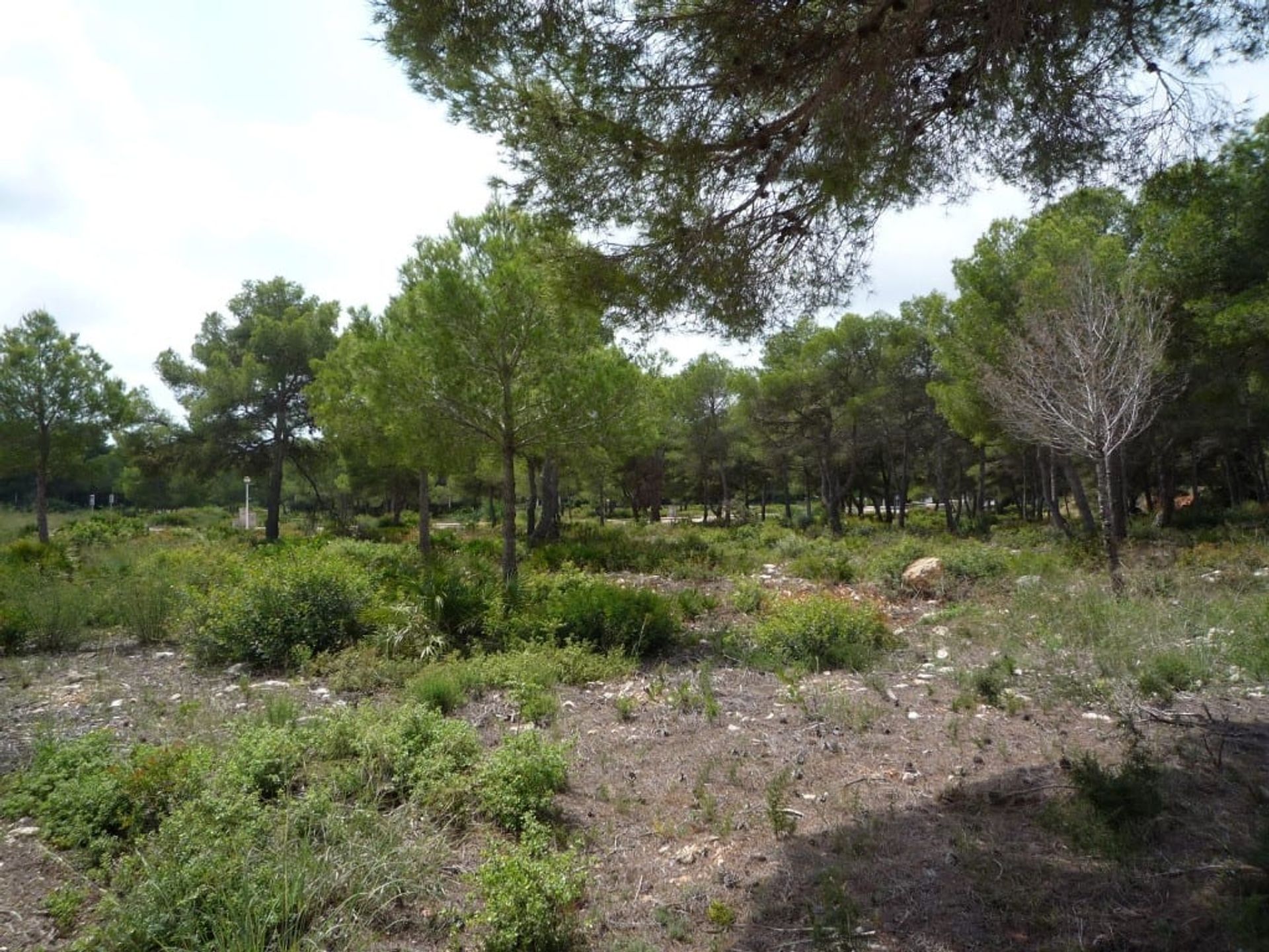 Terre dans Jávea, Valence 11259781