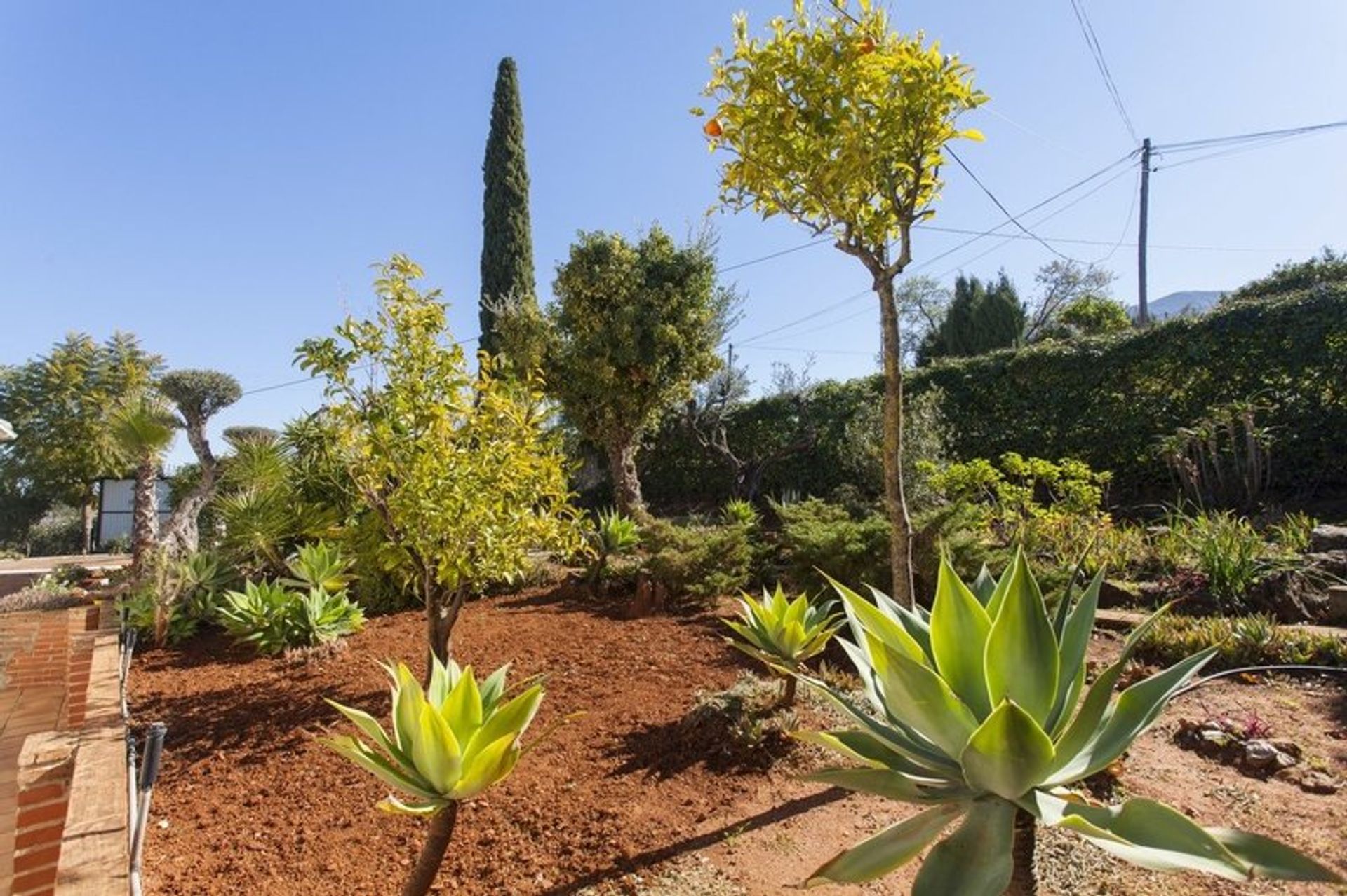 Casa nel Alhaurín el Grande, Andalucía 11259837