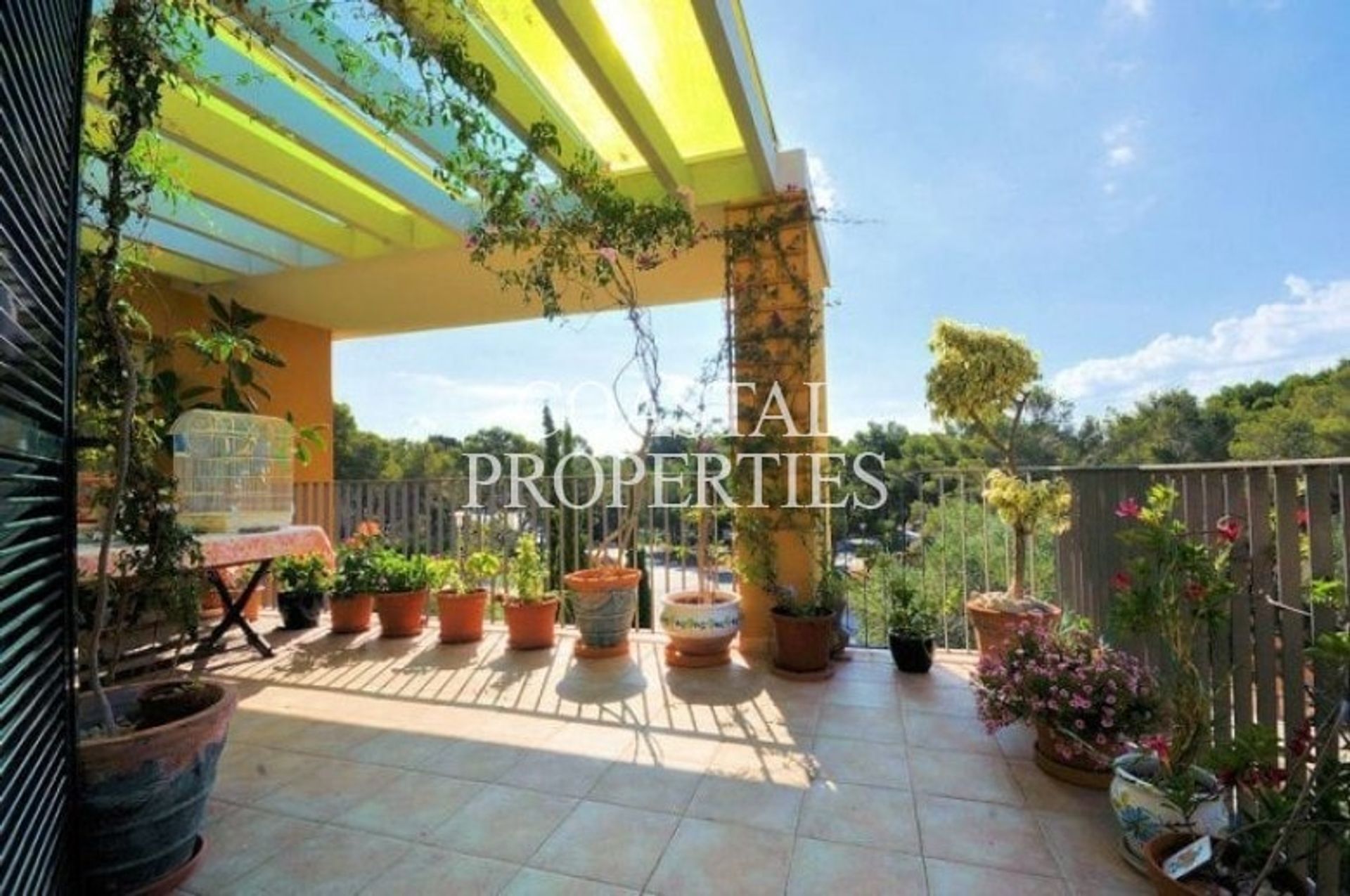 Condominium in Calvia, Balearic Islands 11260160