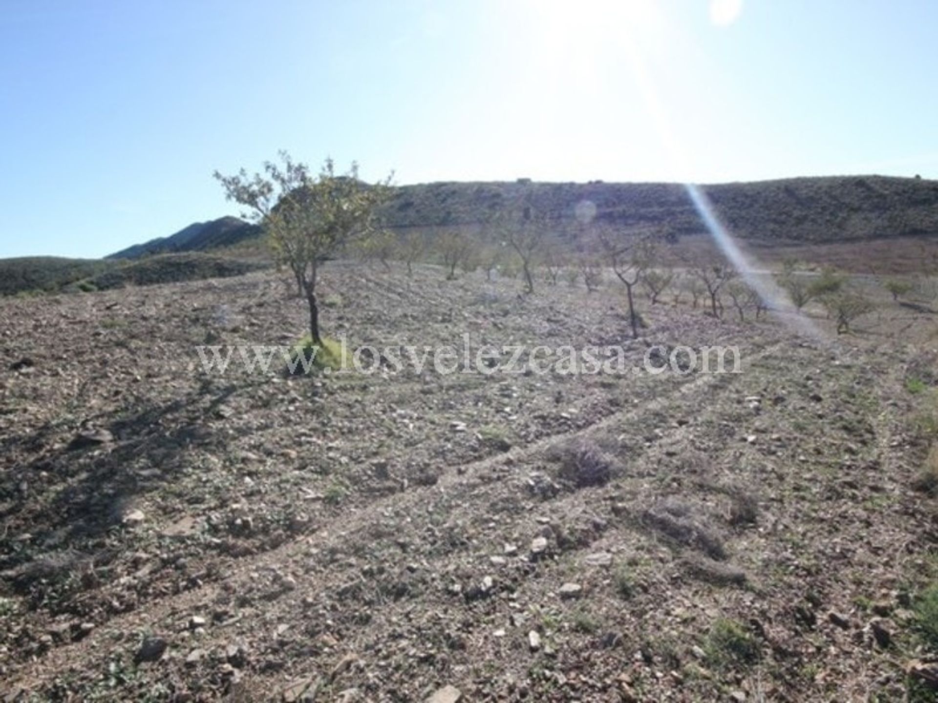 Land i Vélez-Rubio, Andalucía 11260241