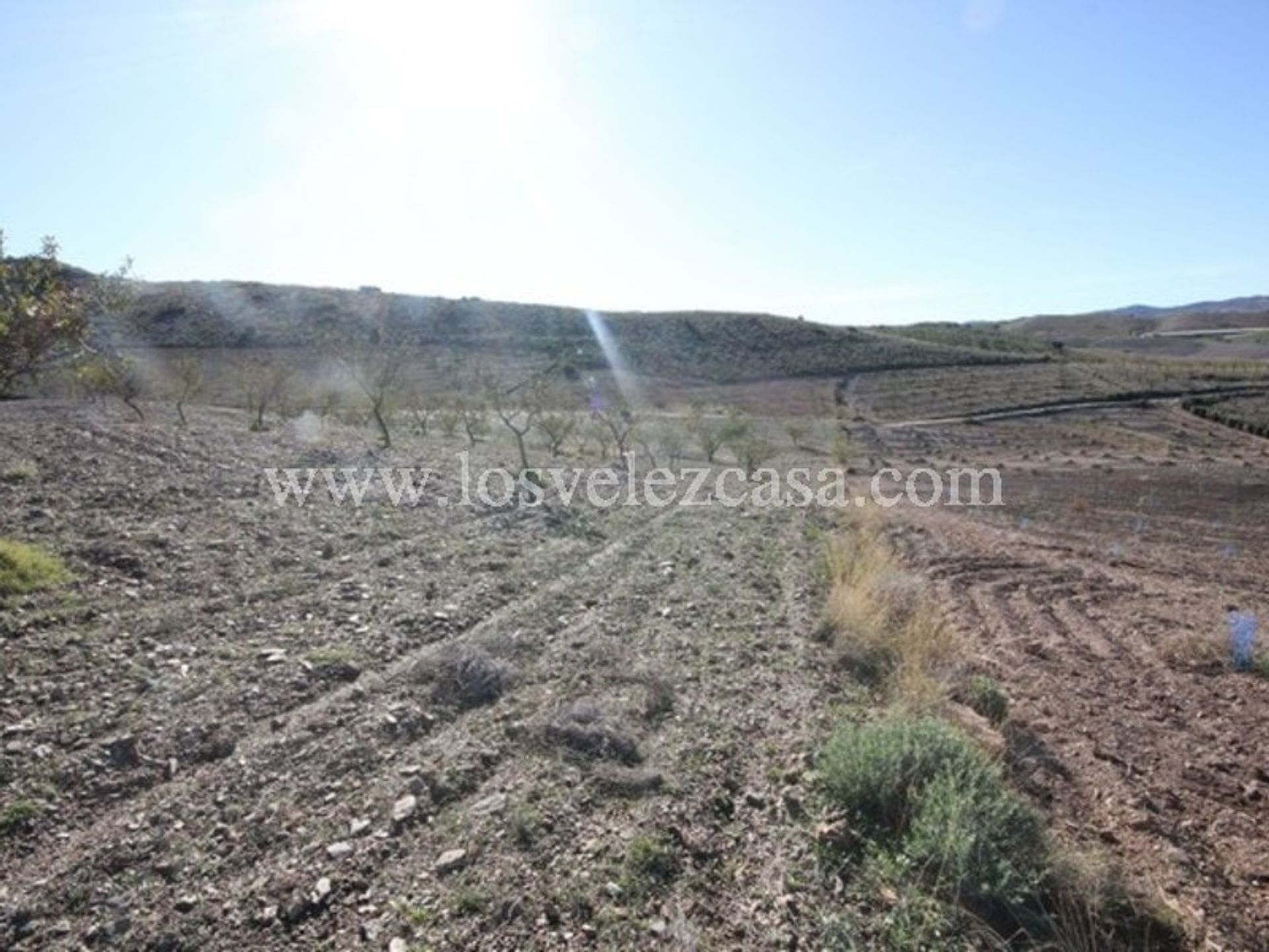 Land i Vélez-Rubio, Andalucía 11260241