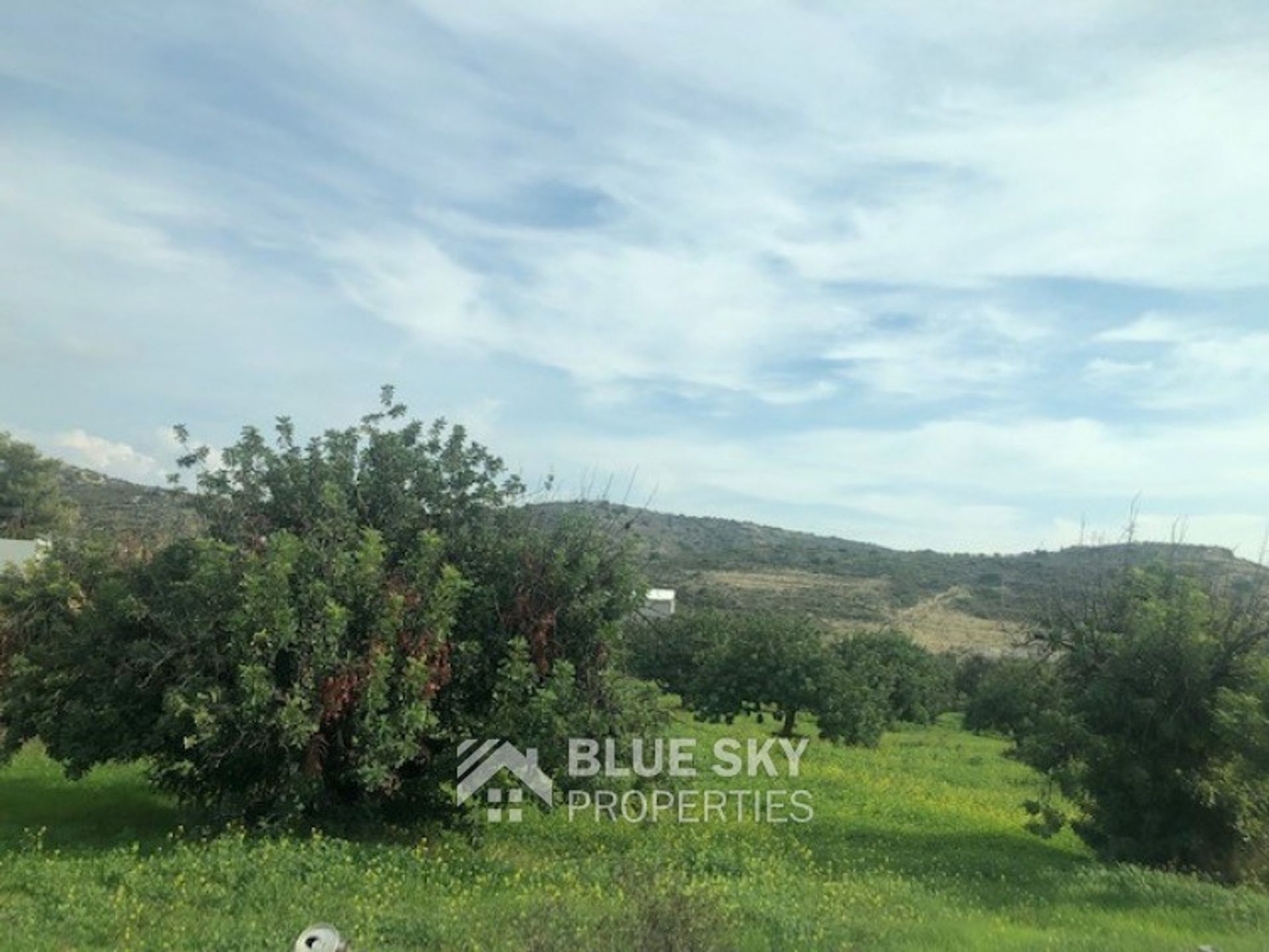 Land in Palodeia, Lemesos 11262675