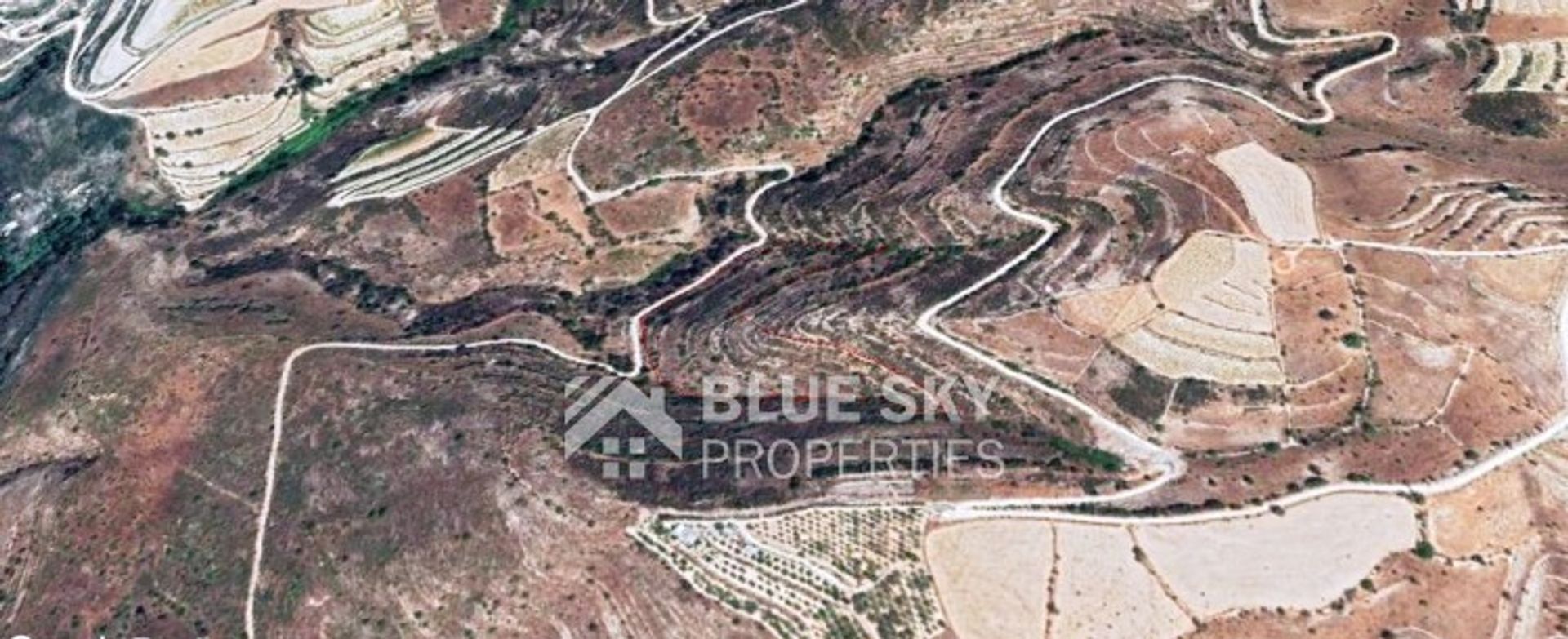 Land in Arsos, Limassol 11262782