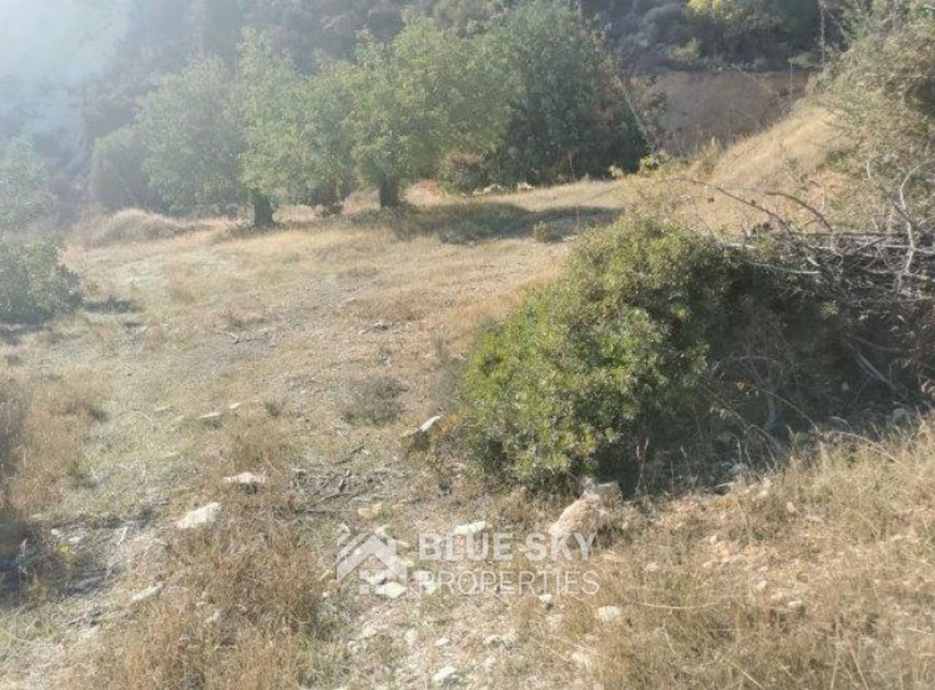 Land in Soularavia, Lemesos 11262799