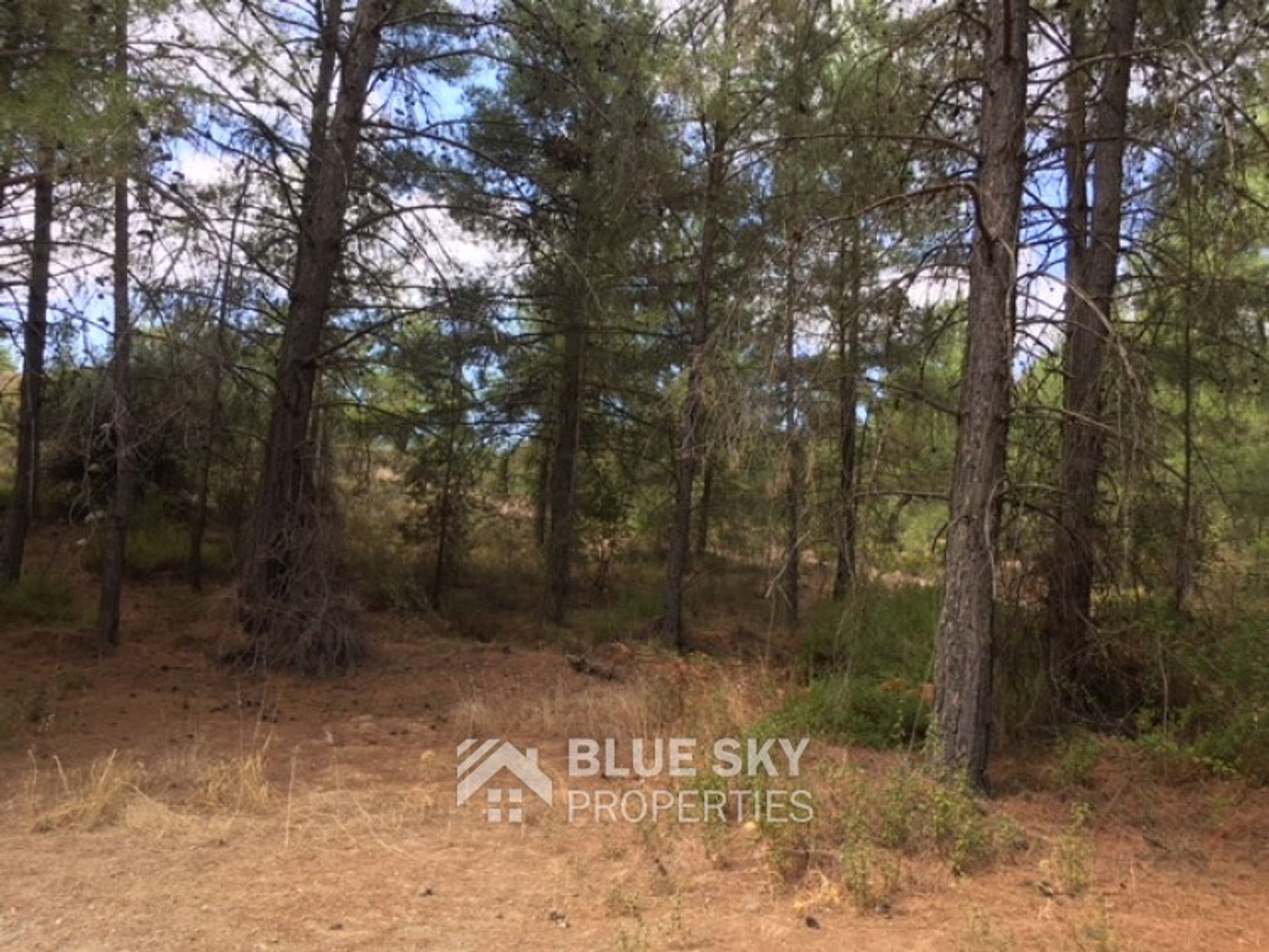 Land in Mandria, Limassol 11262834