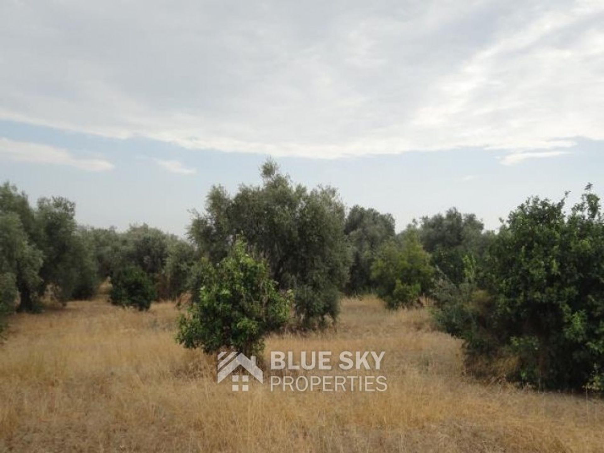 Land in Limassol, Lemesos 11263019