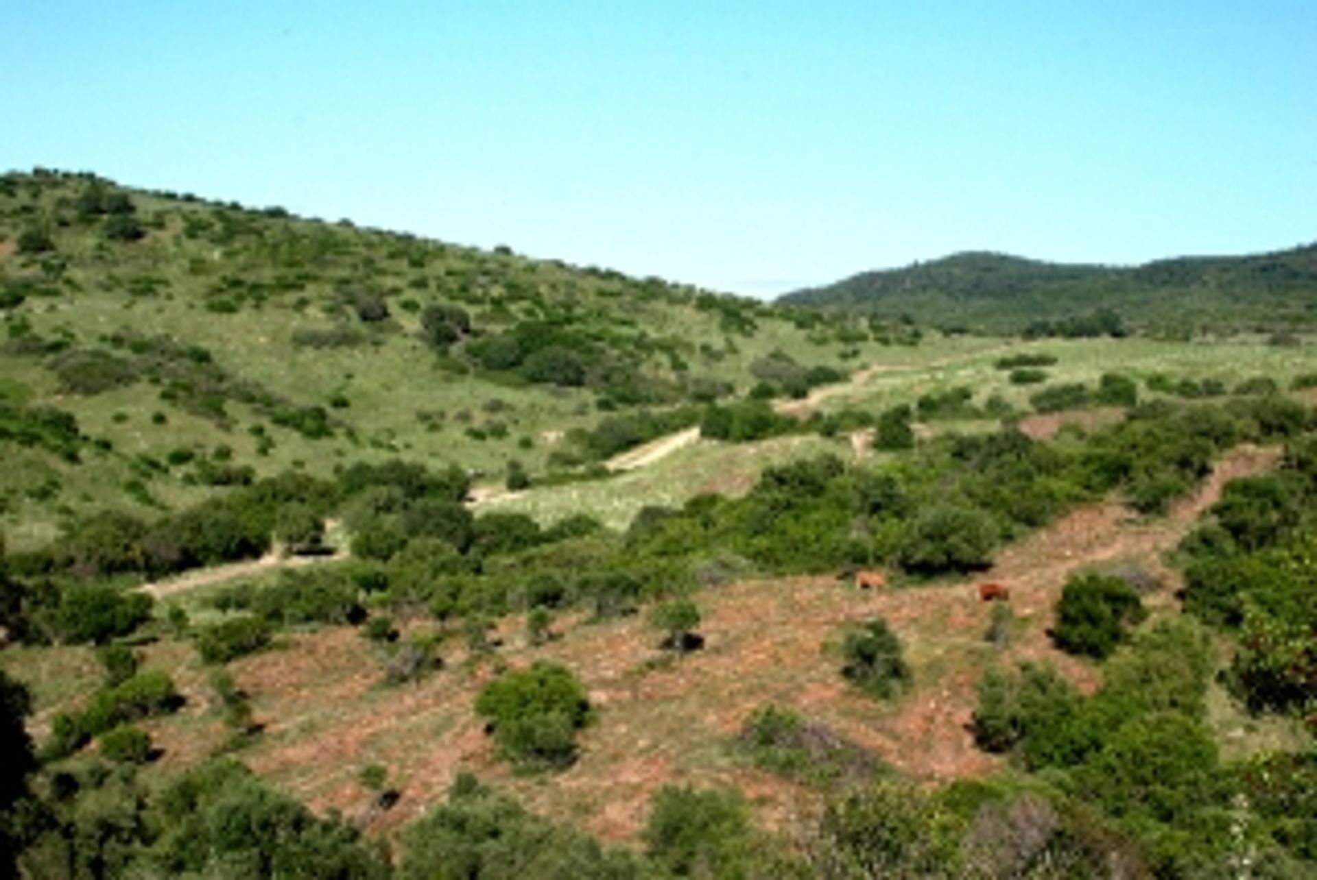 Γη σε Γκουαντιάρο, Ανδαλουσία 11263135