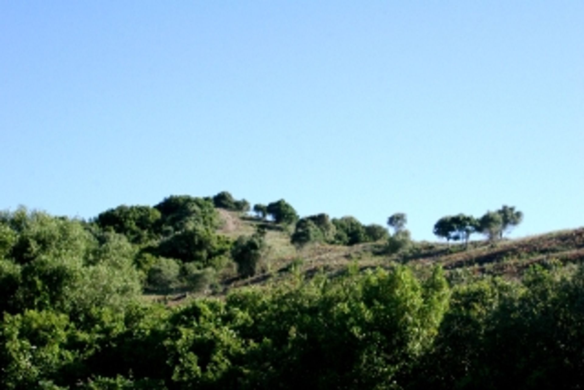 Tierra en Sotogrande, Andalusia 11263135