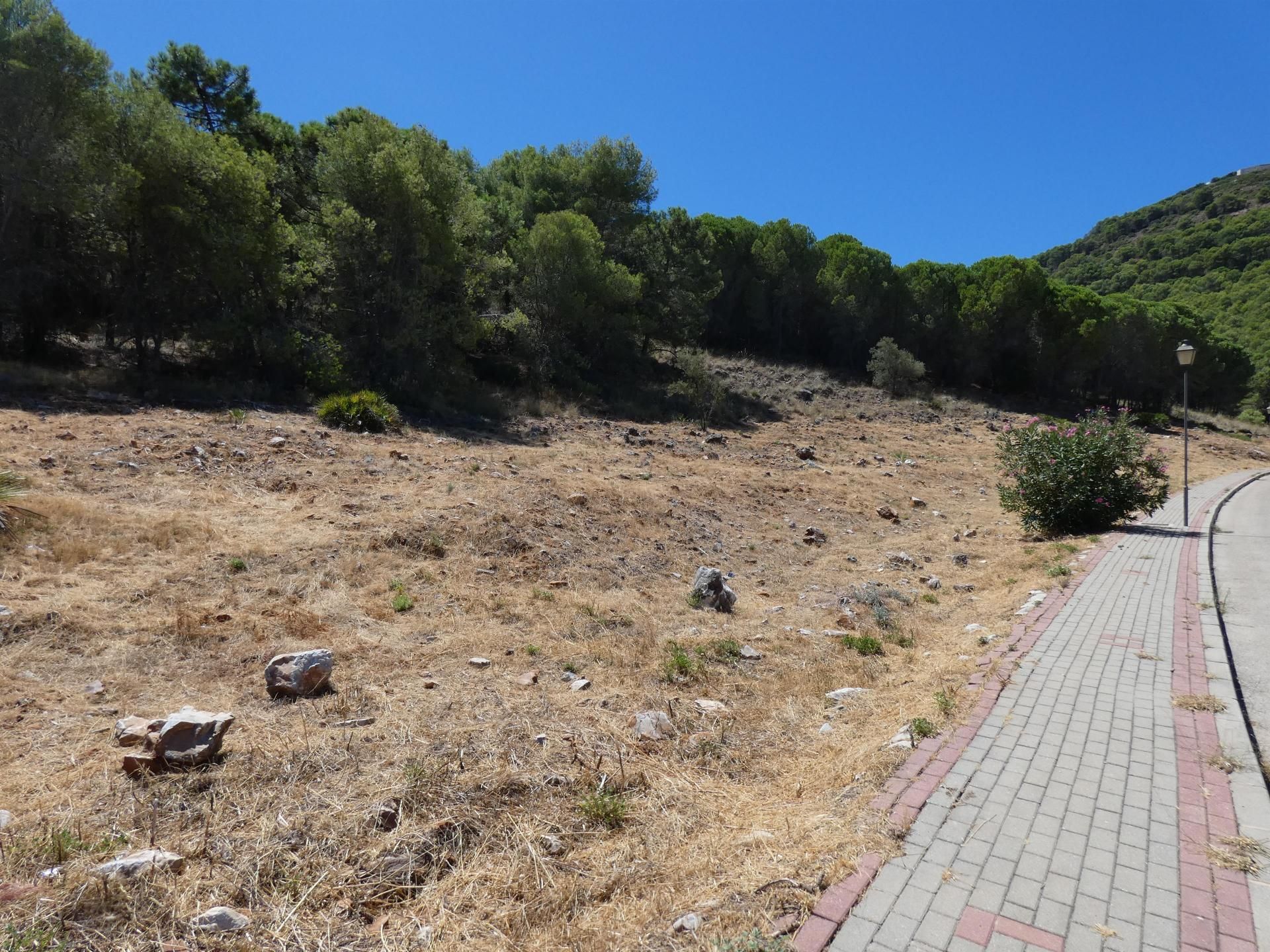 Land in Alhaurín de la Torre, Andalucía 11263506