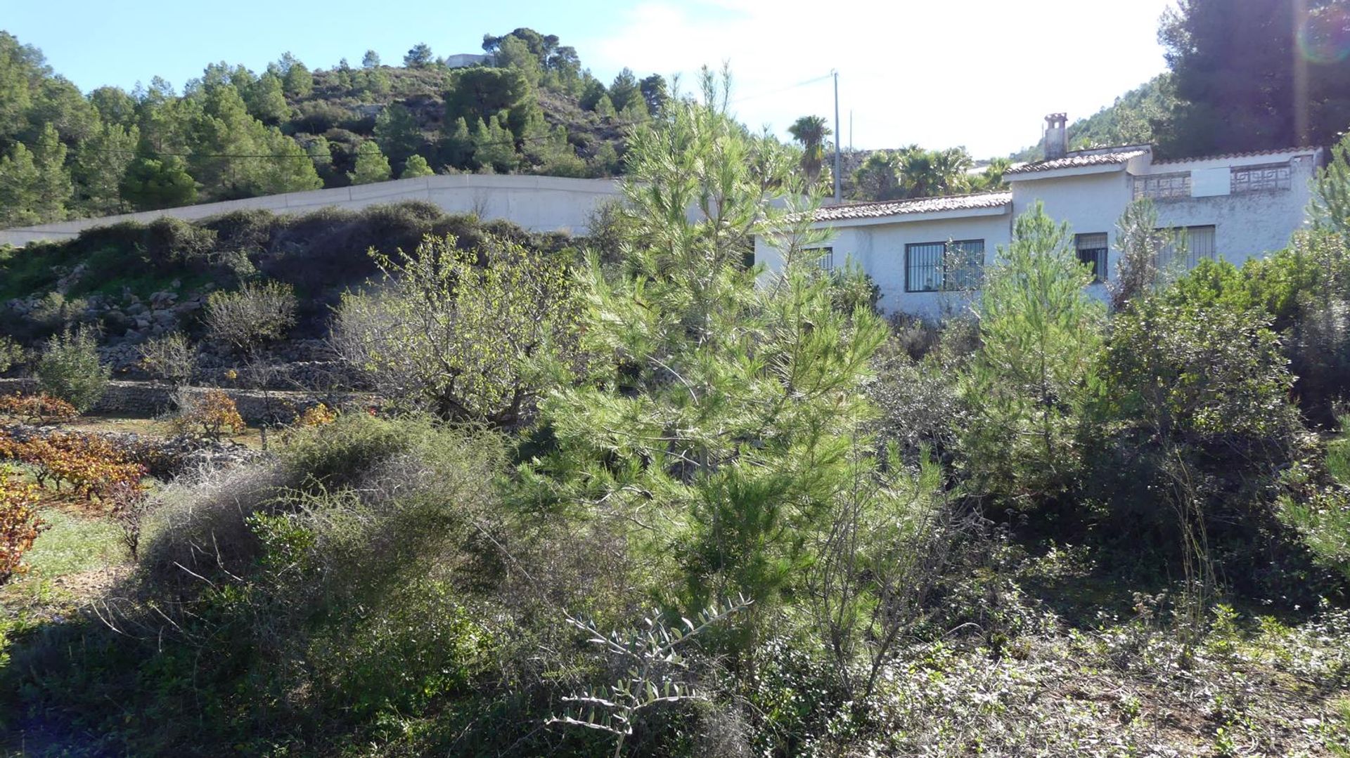 Casa nel Alacant, Comunidad Valenciana 11263696