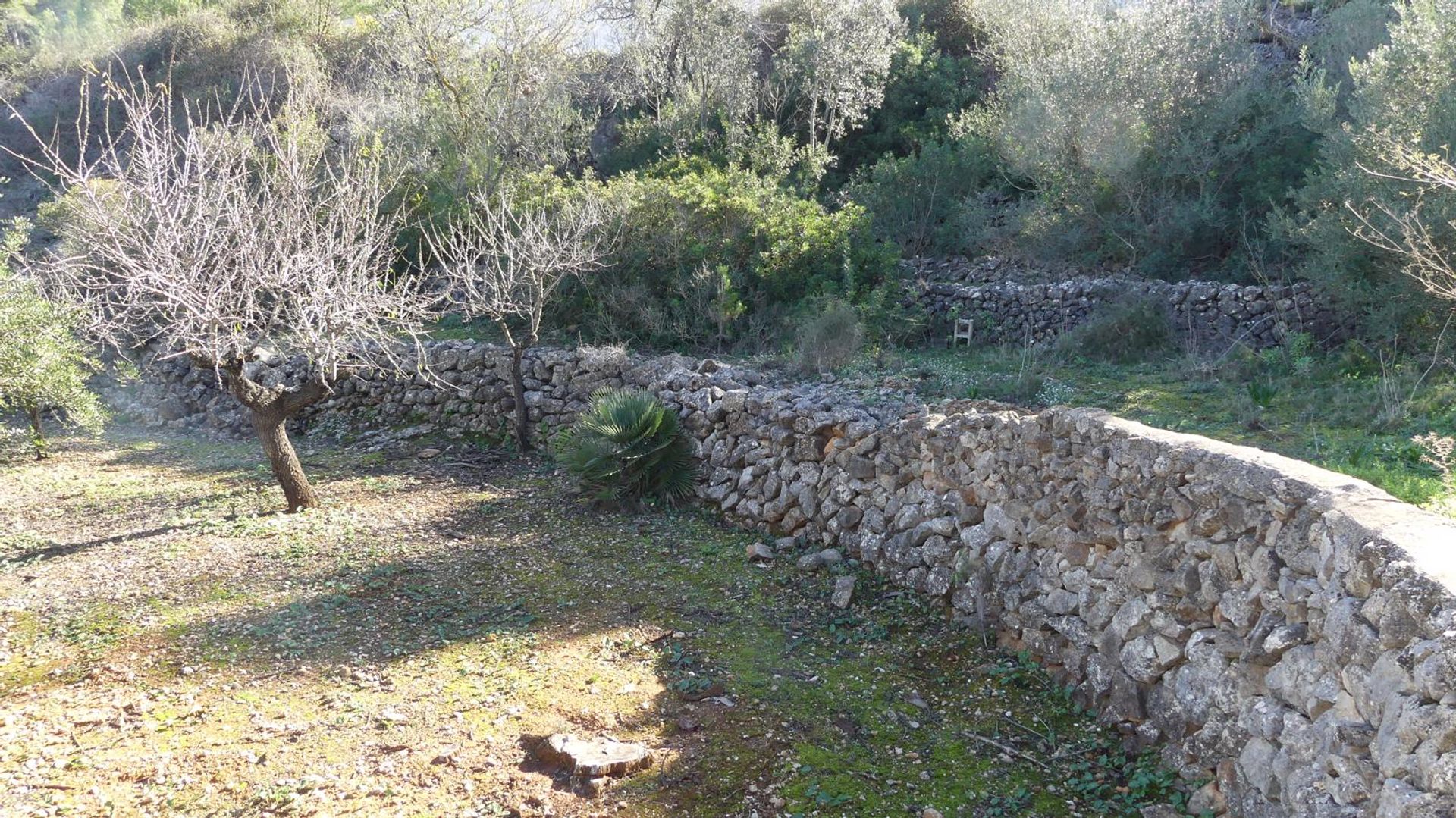 Casa nel Alacant, Comunidad Valenciana 11263696