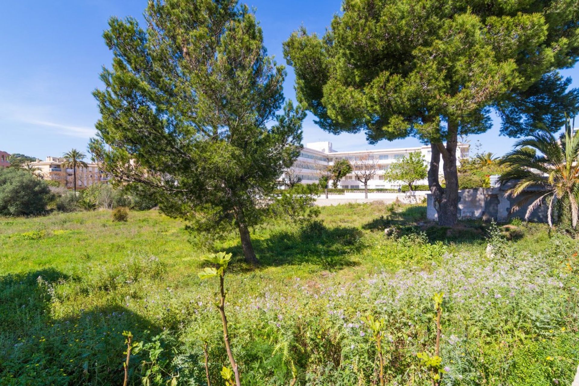 Land in Capdepera, Balearic Islands 11263980