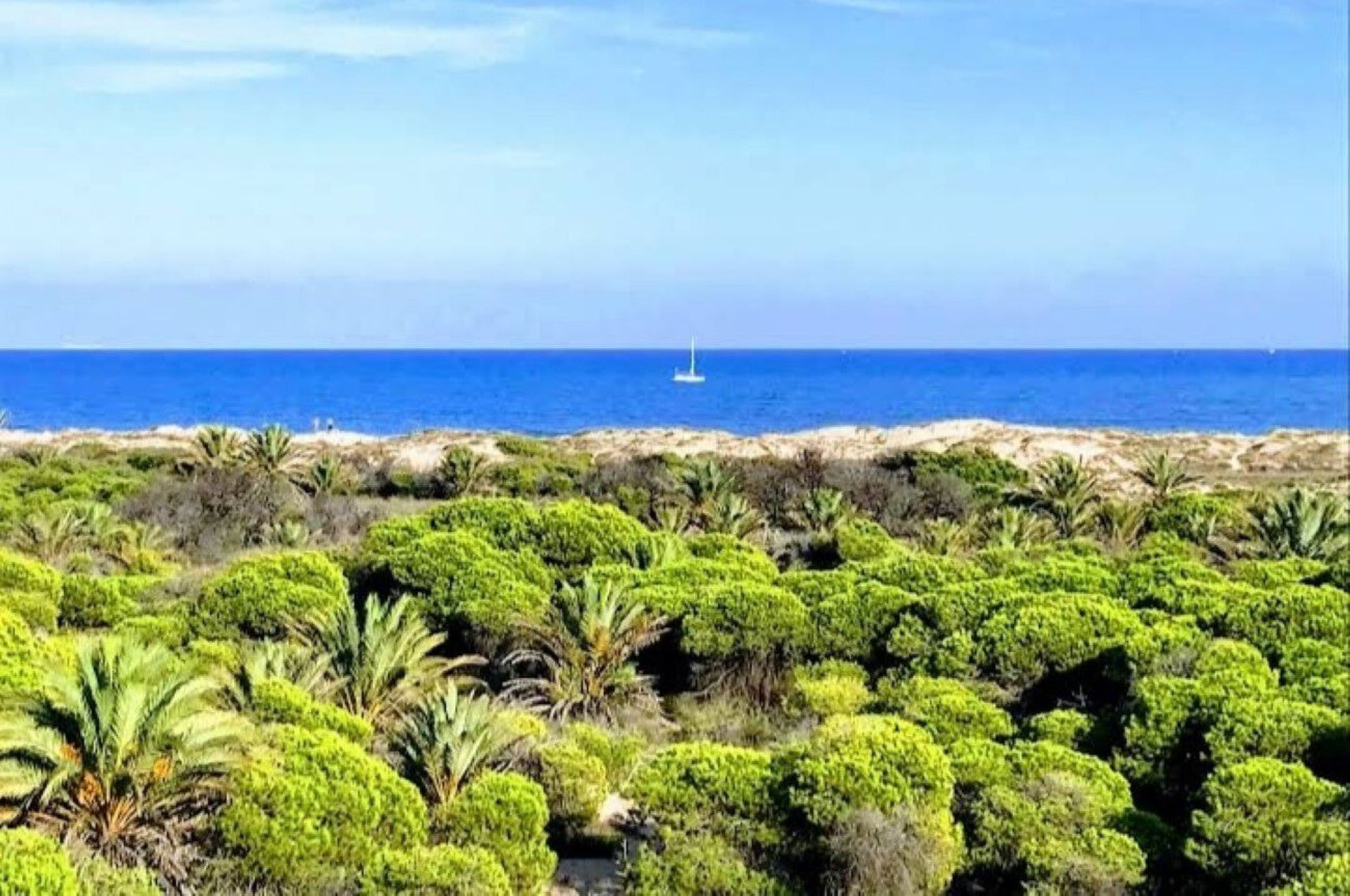 Borettslag i Guardamar del Segura, Comunidad Valenciana 11264218