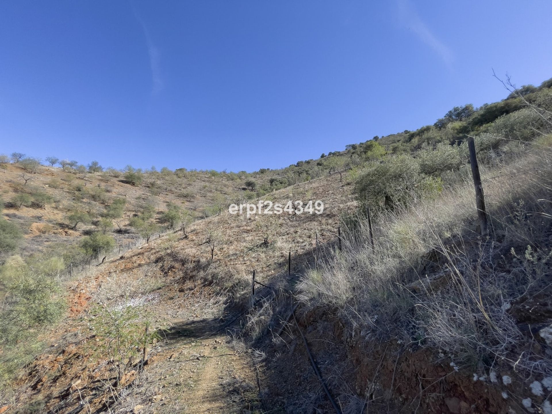 Hus i Almogía, Andalucía 11264266