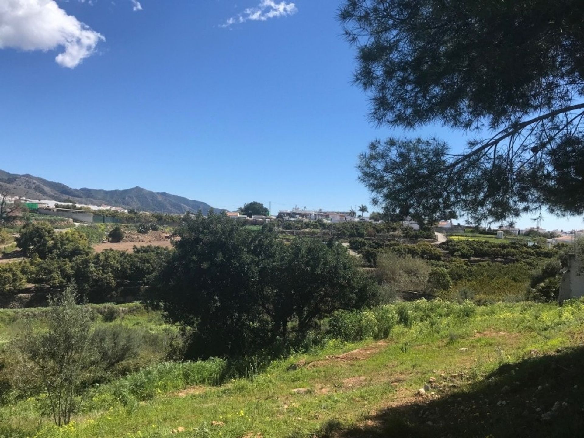 Land i Frigiliana, Andalucía 11264277