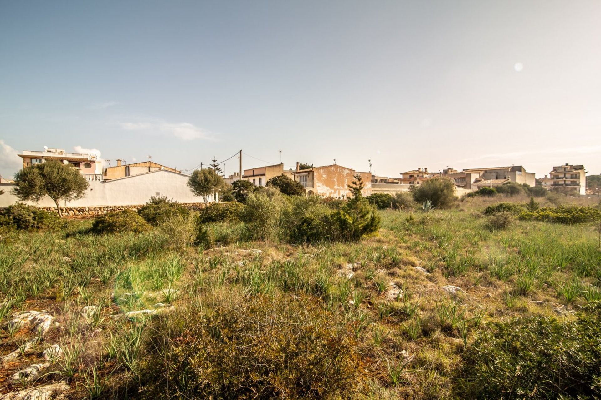 Land in , Illes Balears 11265954