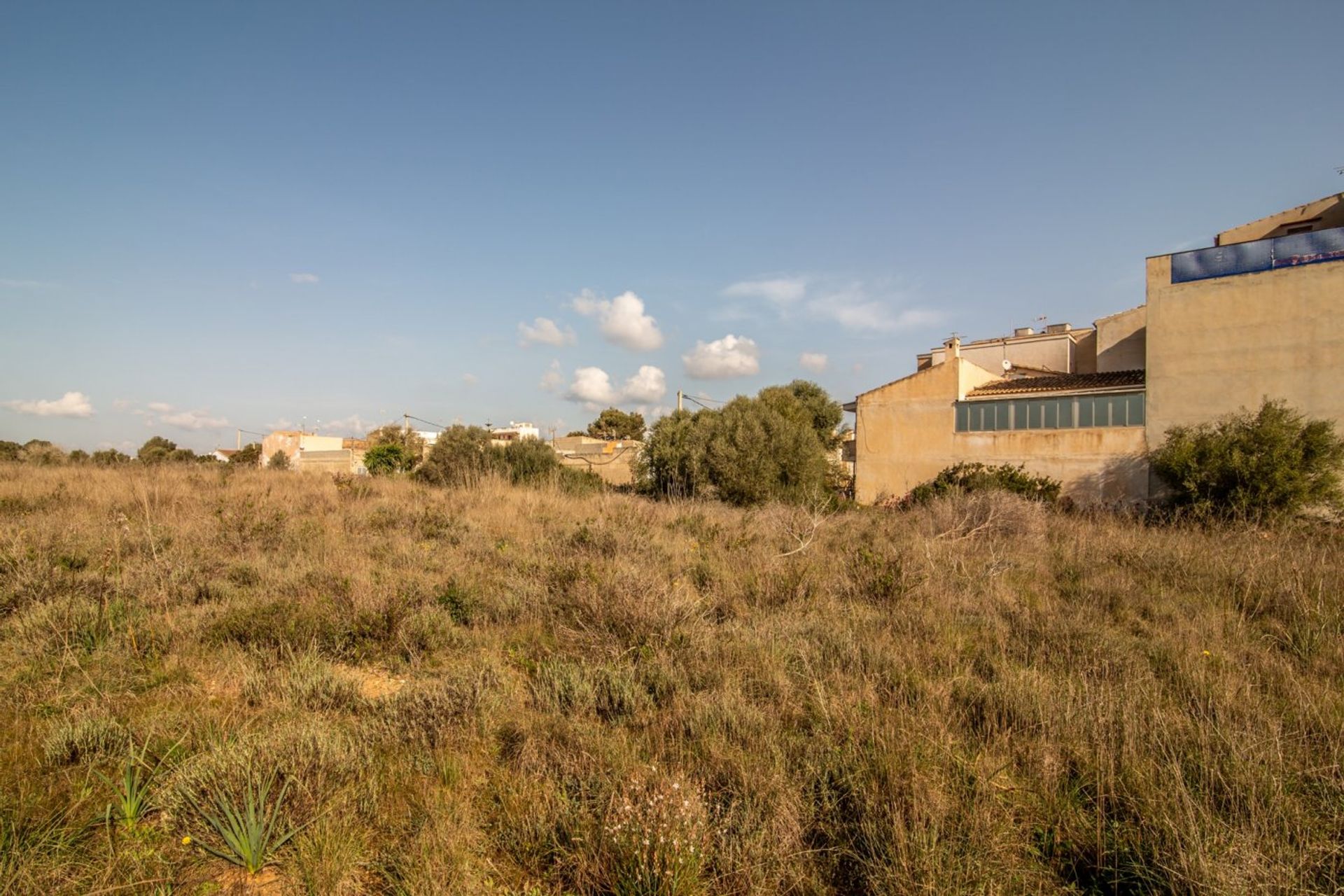 Land in , Illes Balears 11265954