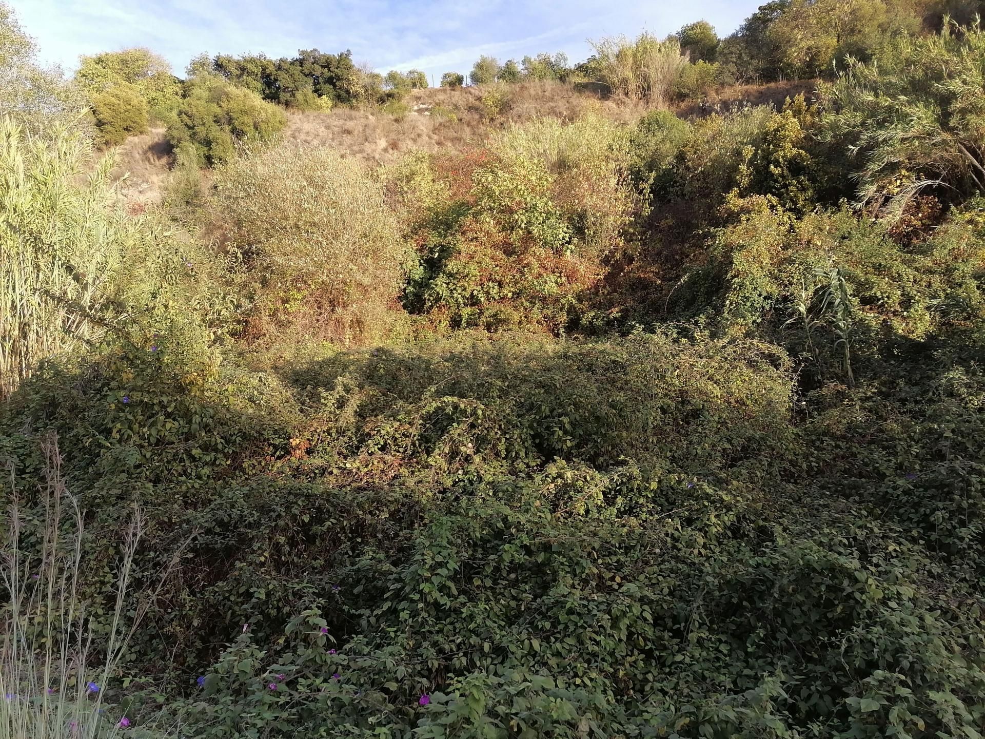 Tierra en Alhaurín el Grande, Andalucía 11266091