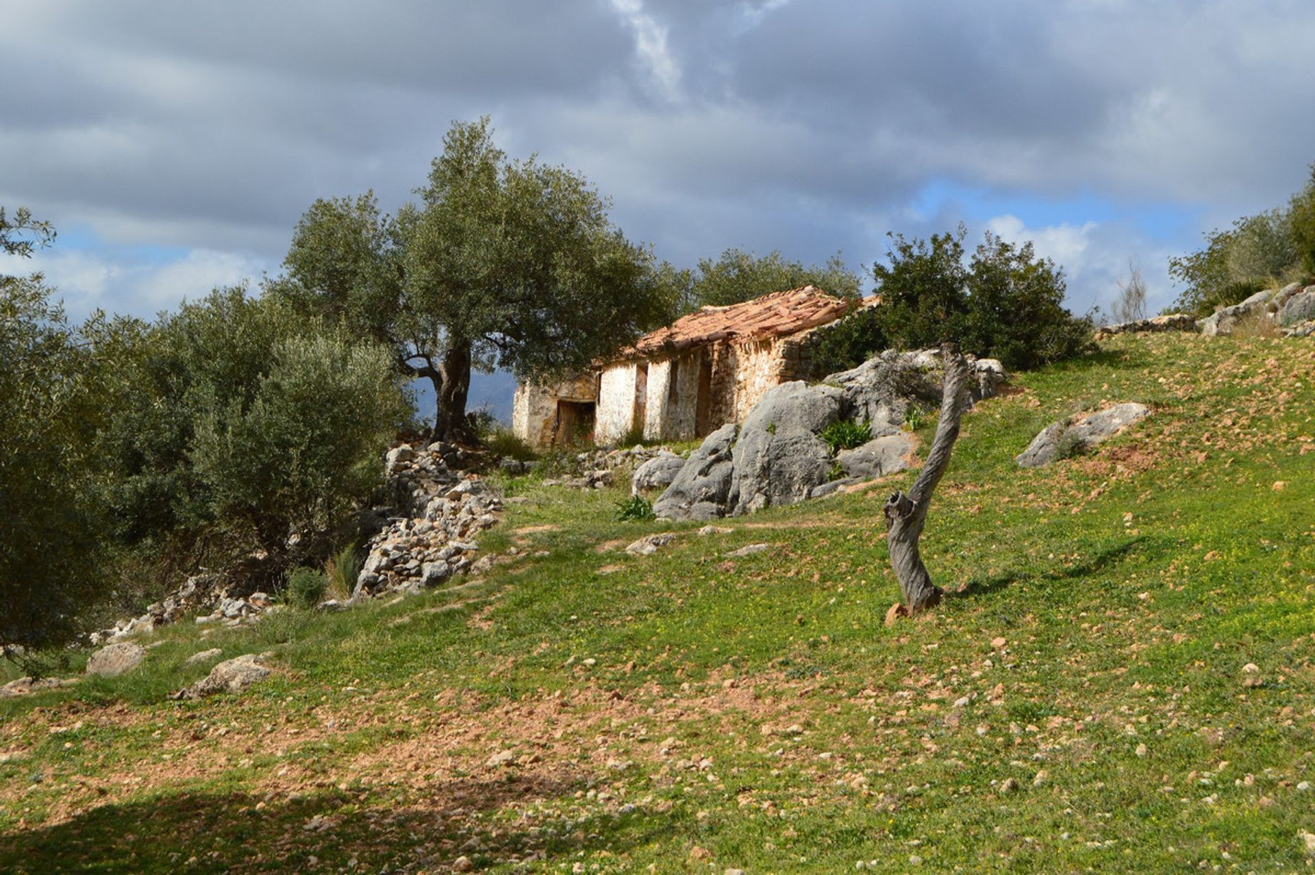 Terre dans Le Chorro, Andalousie 11266330