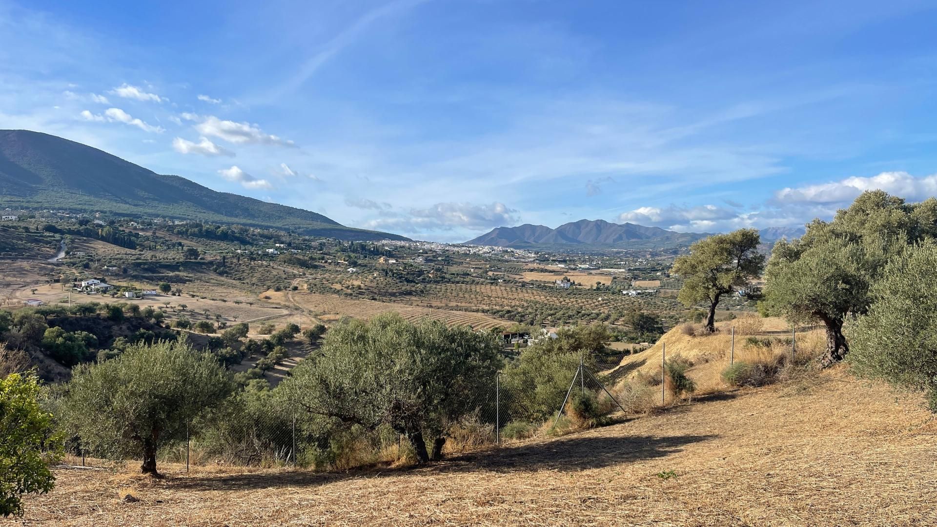 Talo sisään Alhaurín el Grande, Andalucía 11266398