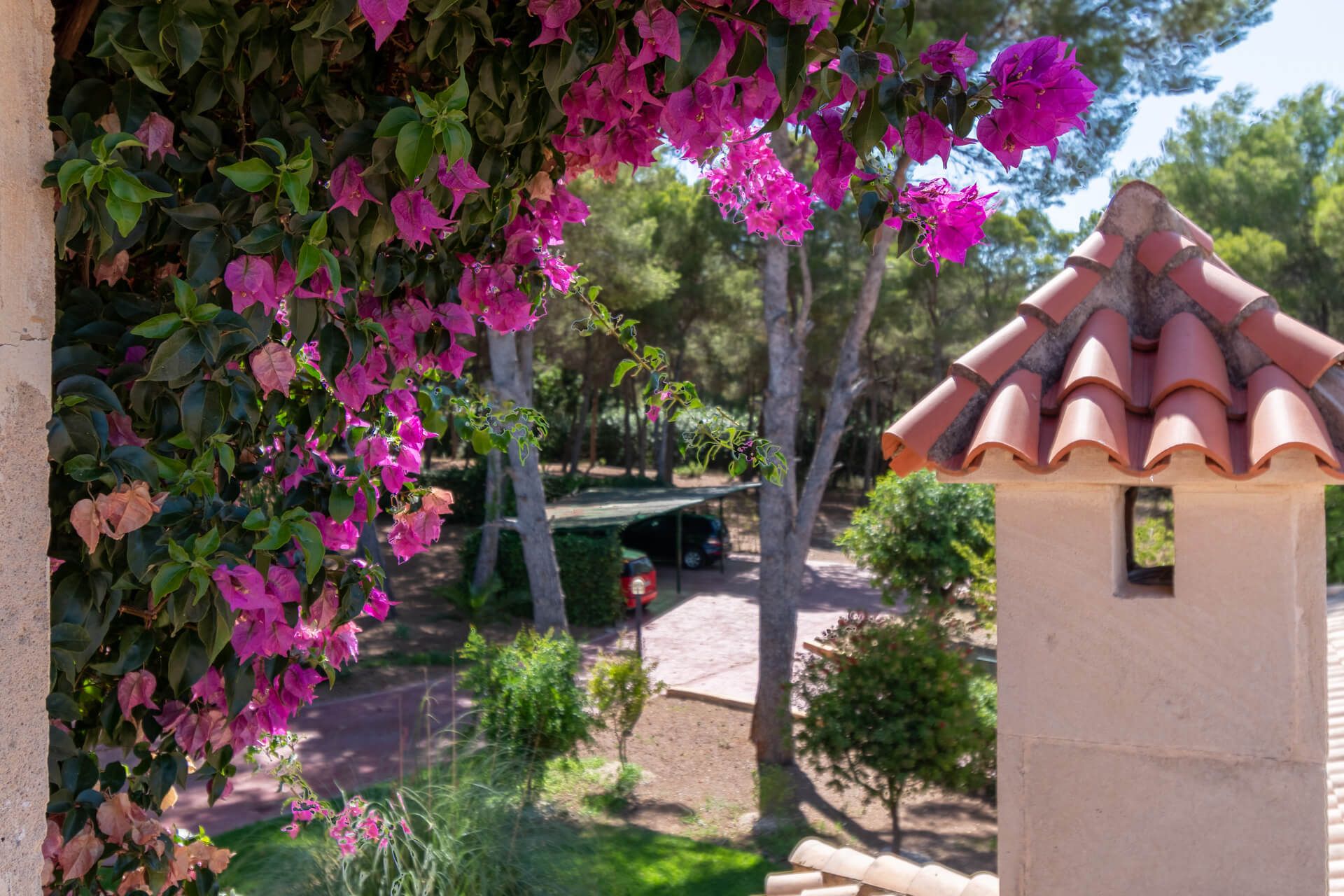 casa no Dénia, Comunidad Valenciana 11266526