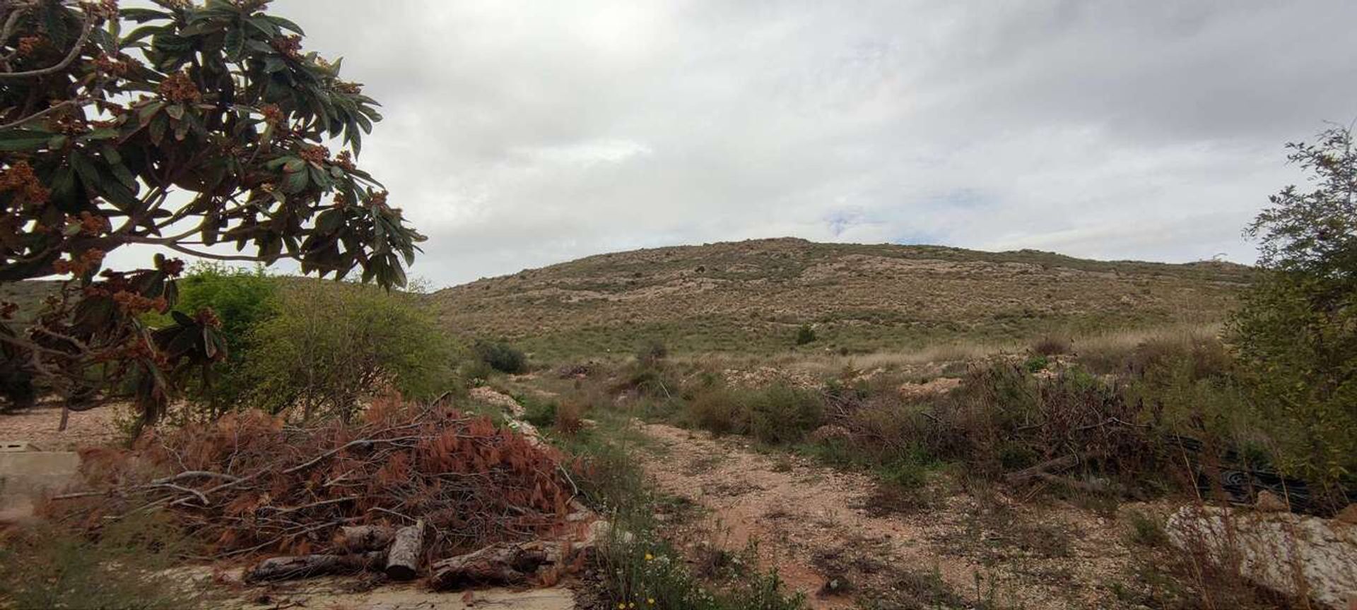 Rumah di Yecla, Región de Murcia 11266678