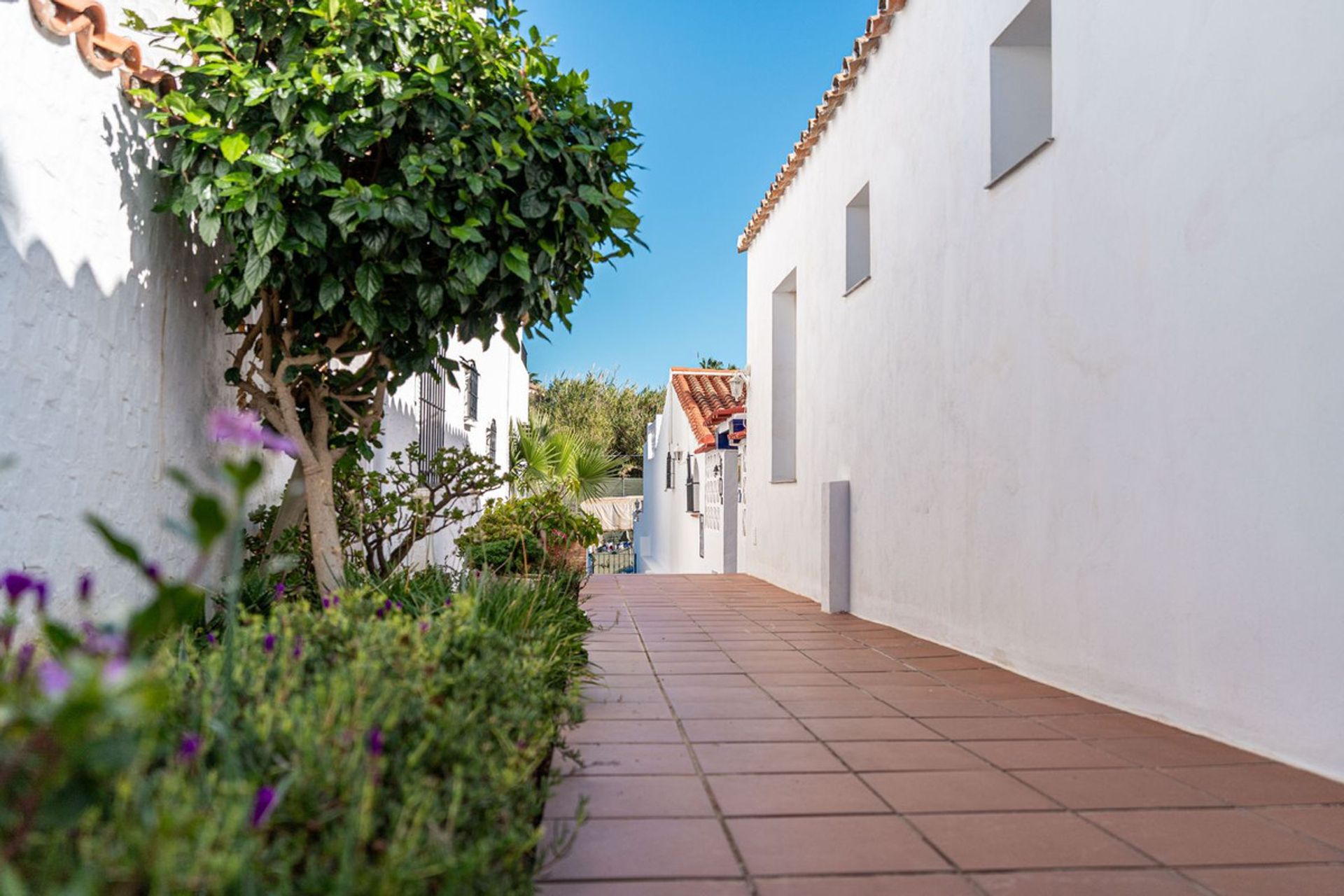 Haus im Estepona, Andalusien 11267234