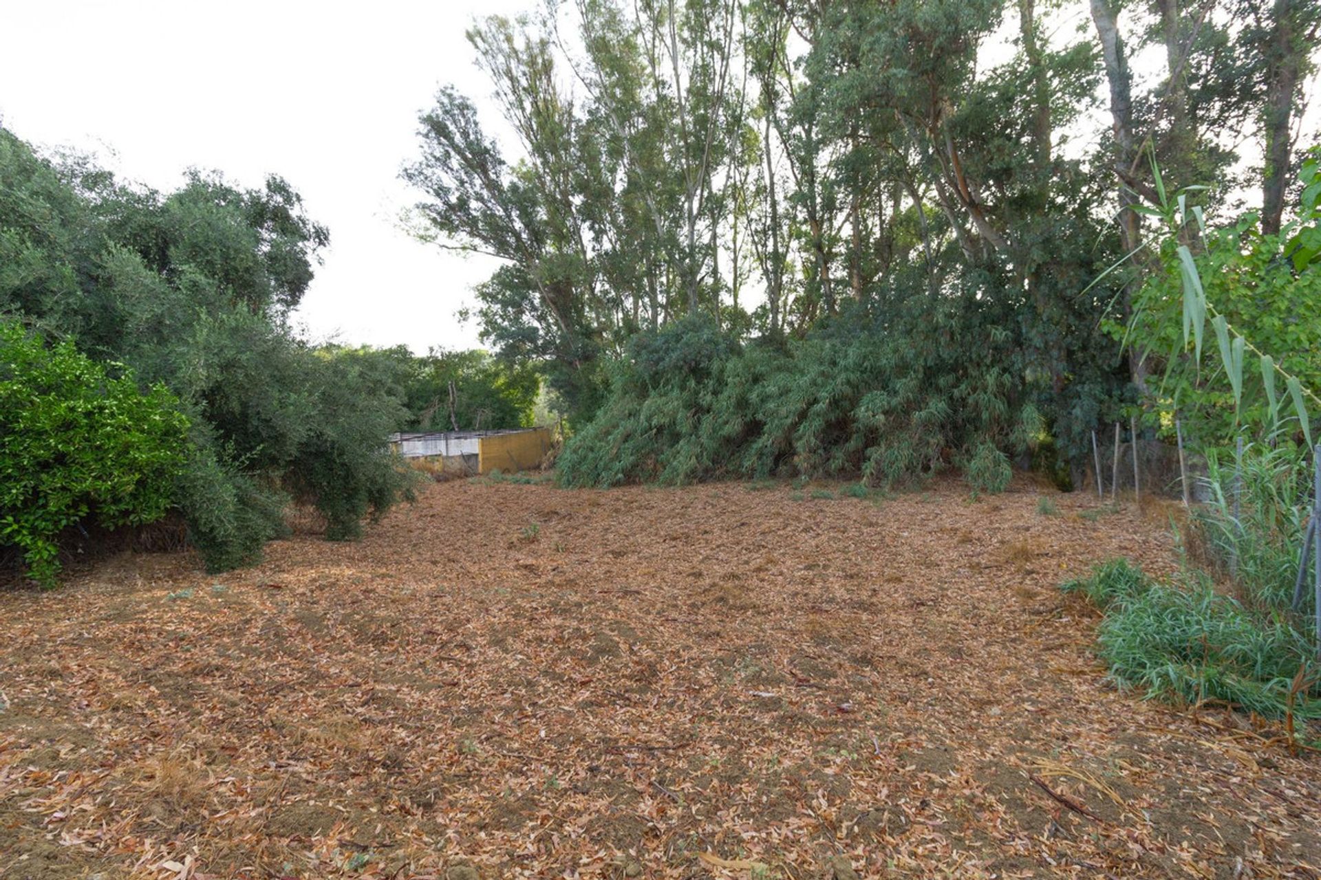 Land in Alhaurín el Grande, Andalucía 11267421