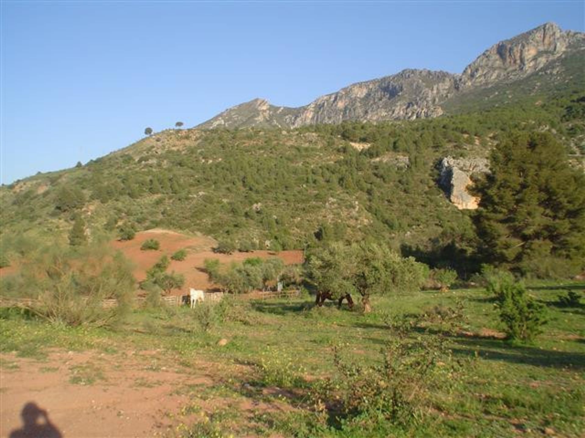 Будинок в Ardales, Andalucía 11268552