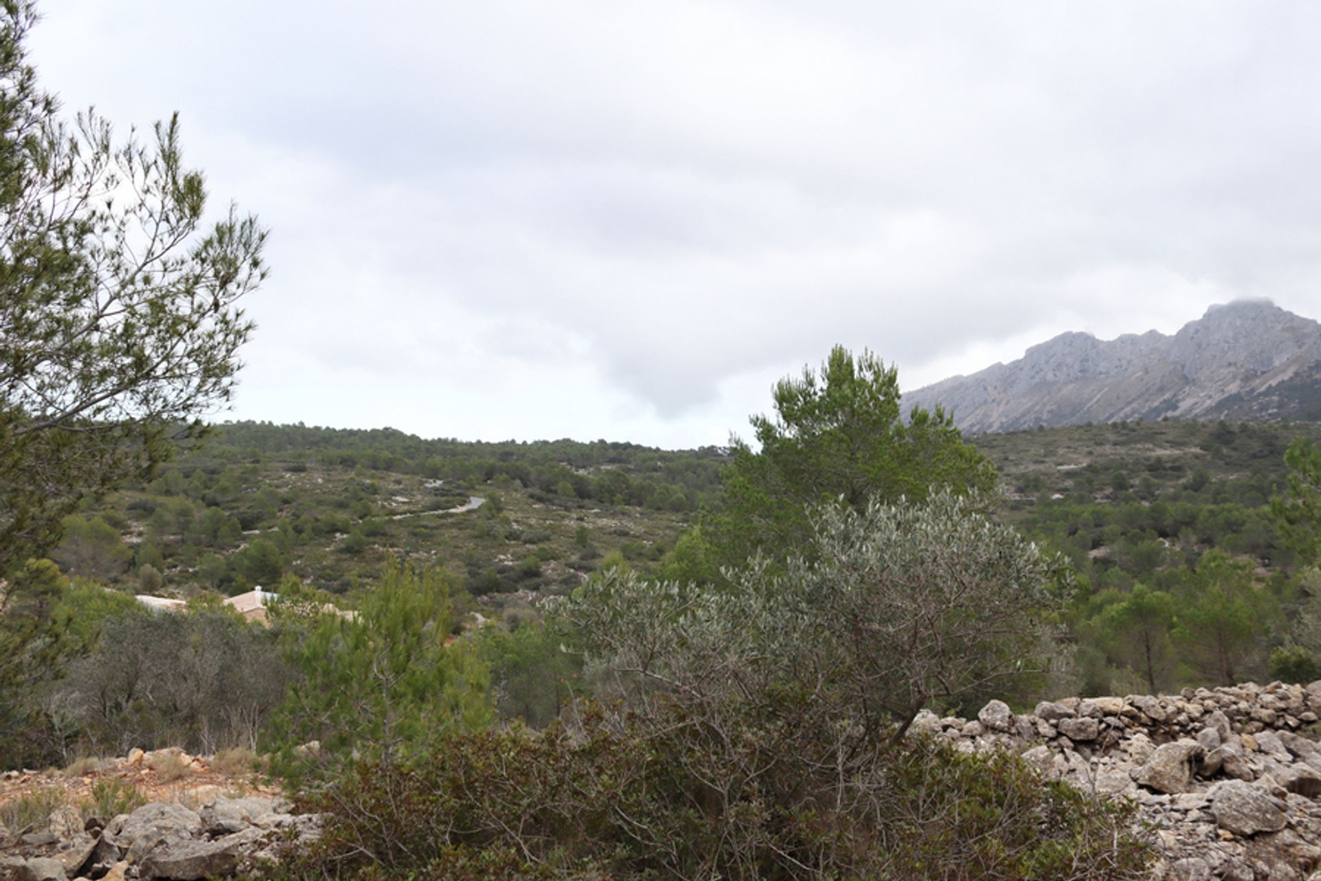 Maa sisään Xaló, Comunidad Valenciana 11268851