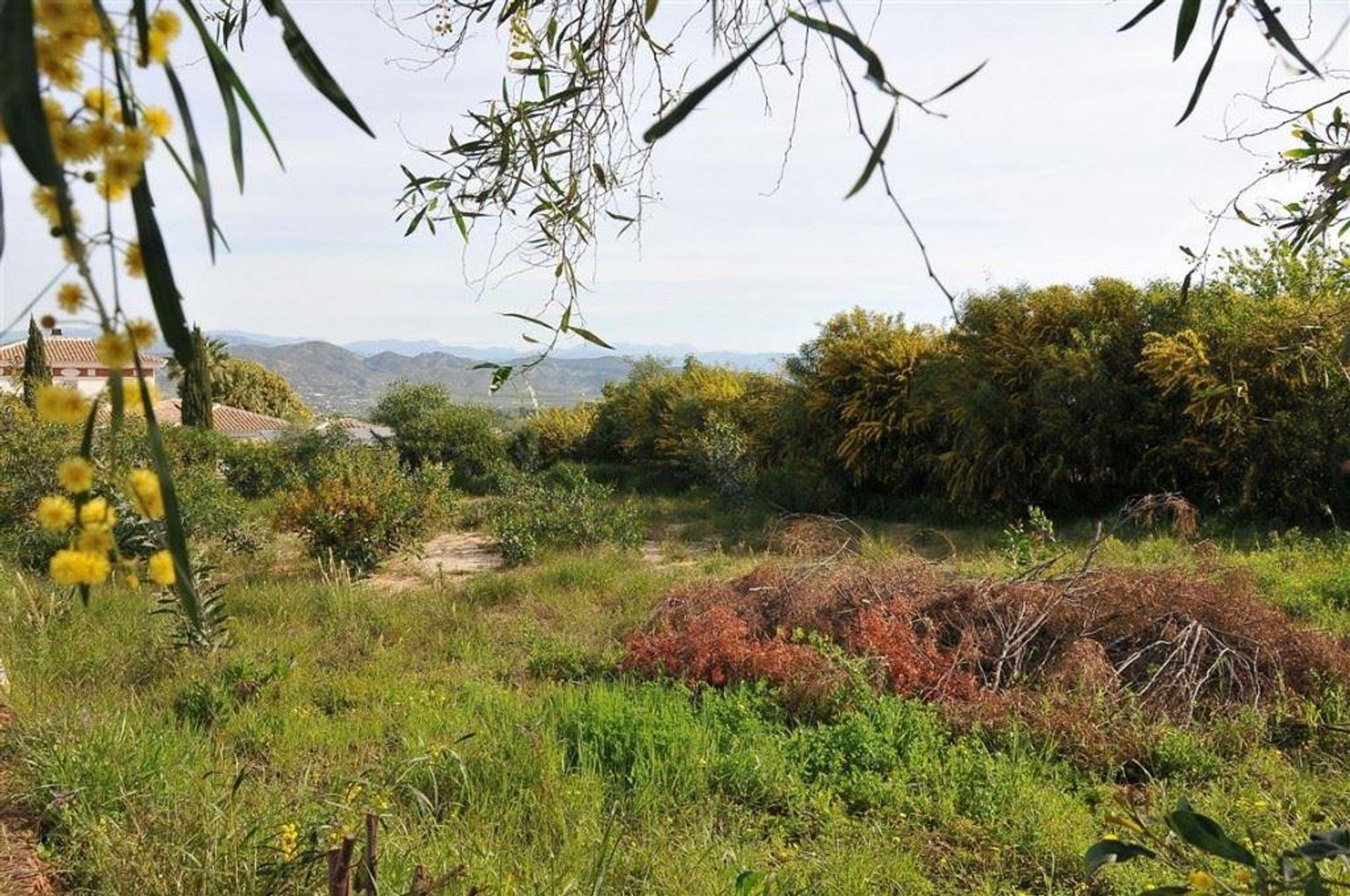 Земля в Alhaurín el Grande, Andalucía 11269097