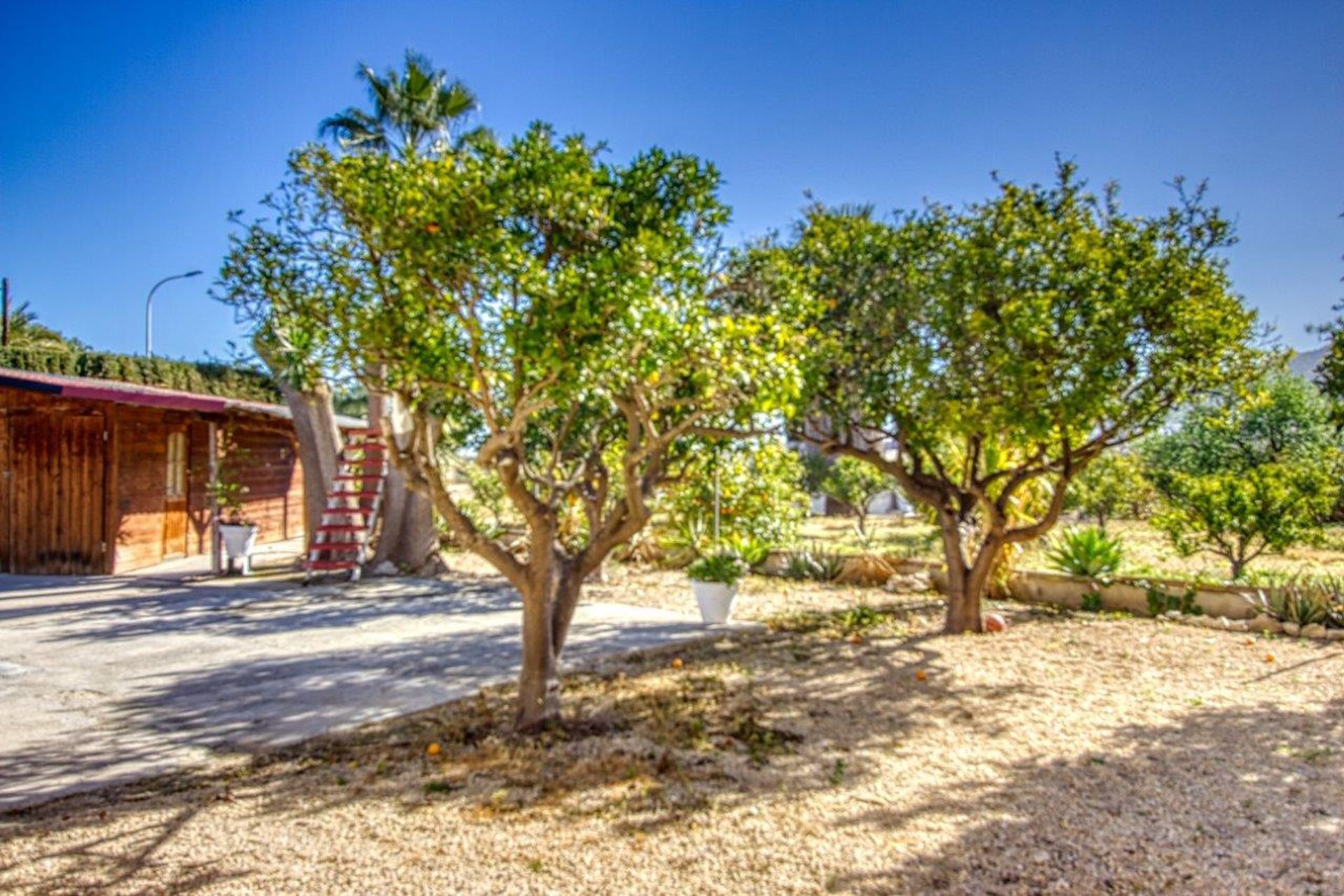 Huis in l'Alfàs del Pi, Comunidad Valenciana 11269261