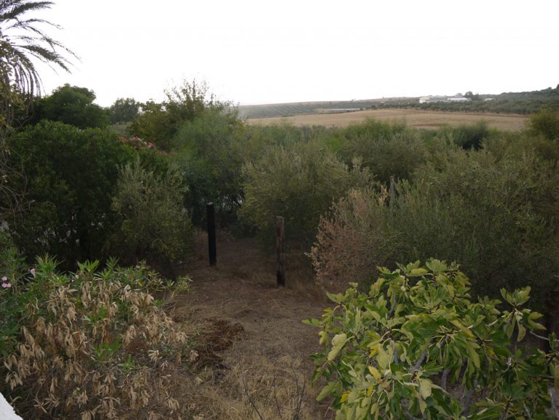 casa no Morón de la Frontera, Andalucía 11269510