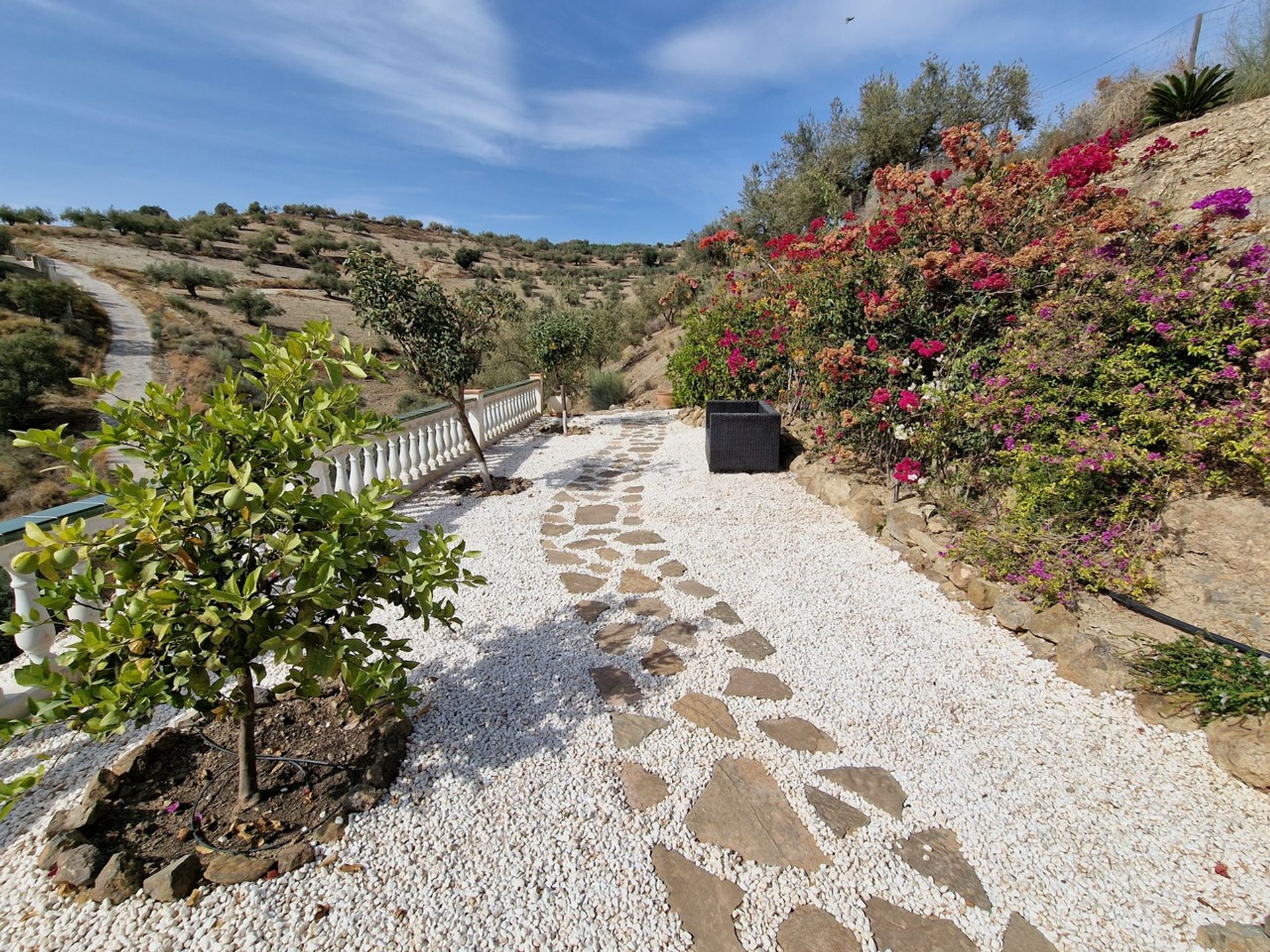 Casa nel Canillas de Aceituno, Andalucía 11270445